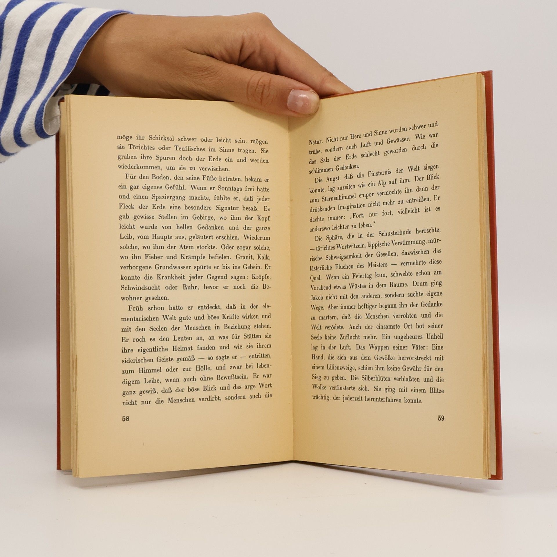 Albert Steffen Lebenswende