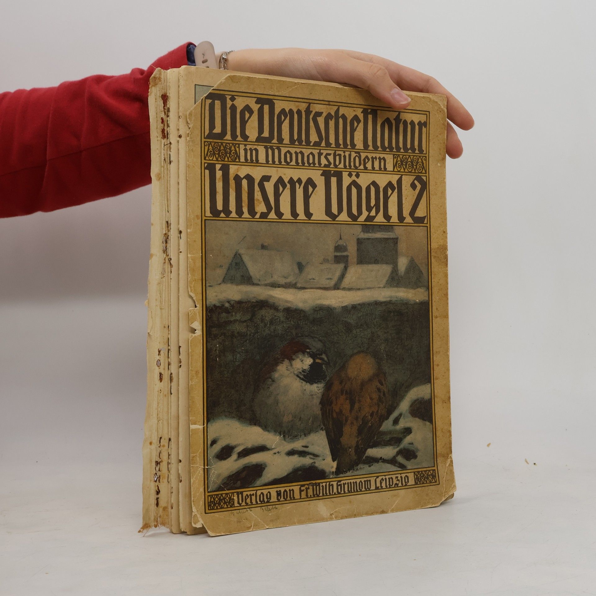 P. Dr. Sr. Lindner Unsere Vögel 2