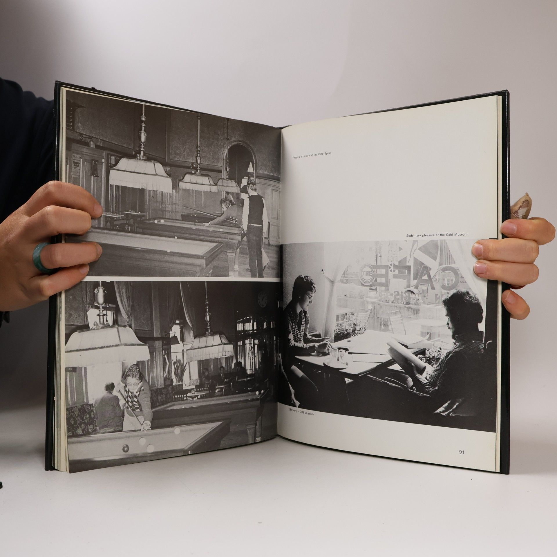 Sandy Lesberg The Coffee Houses & Palaces of Vienna
