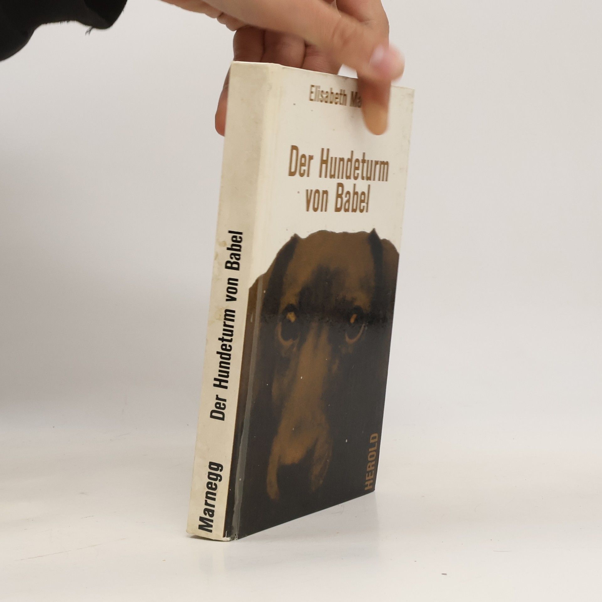Der Hundeturm von Babel