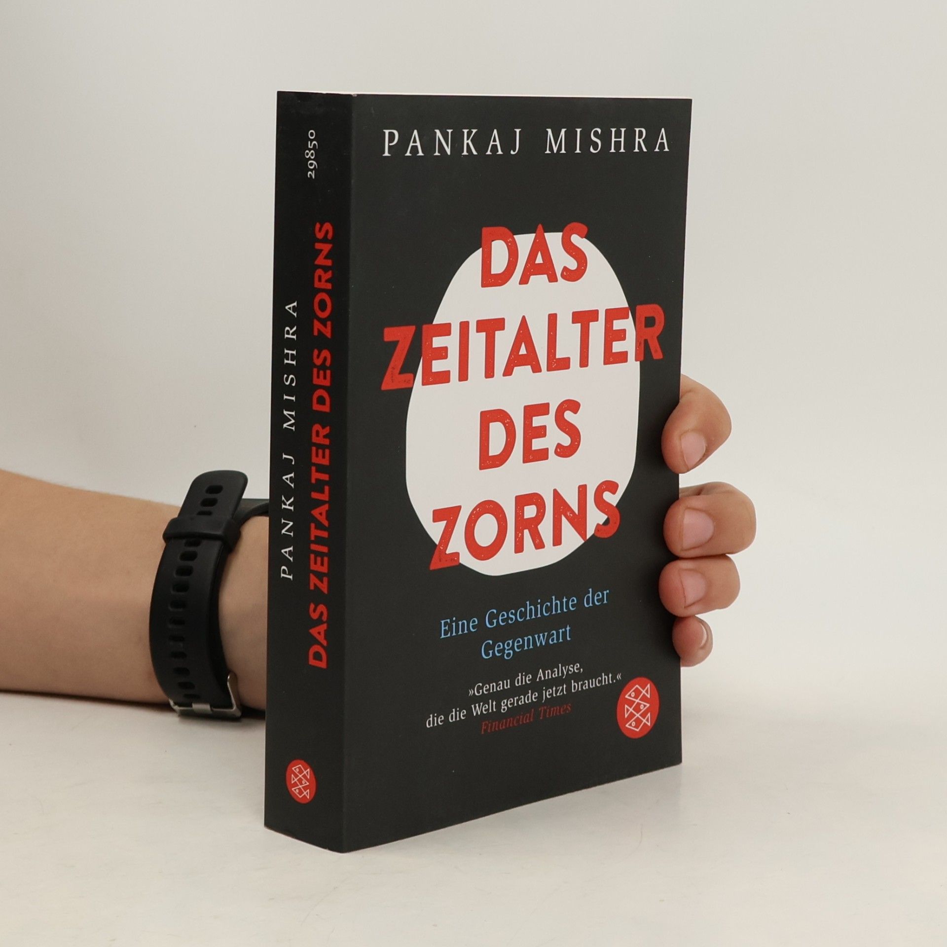 Pankaj Mishara Das Zeitalter des Zorns
