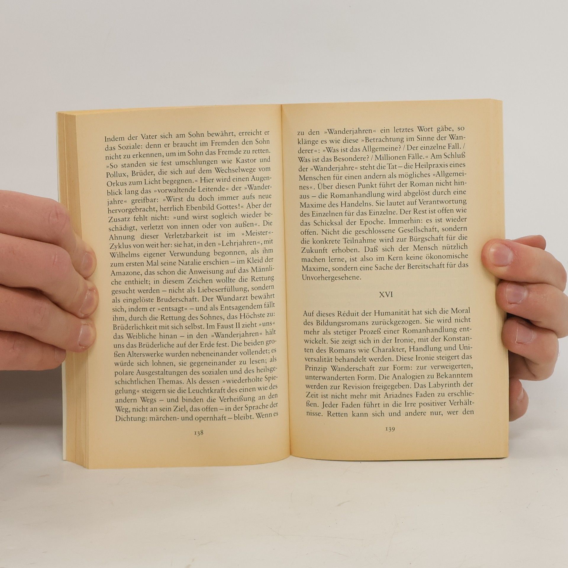 Adolf Muschg Goethe als Emigrant