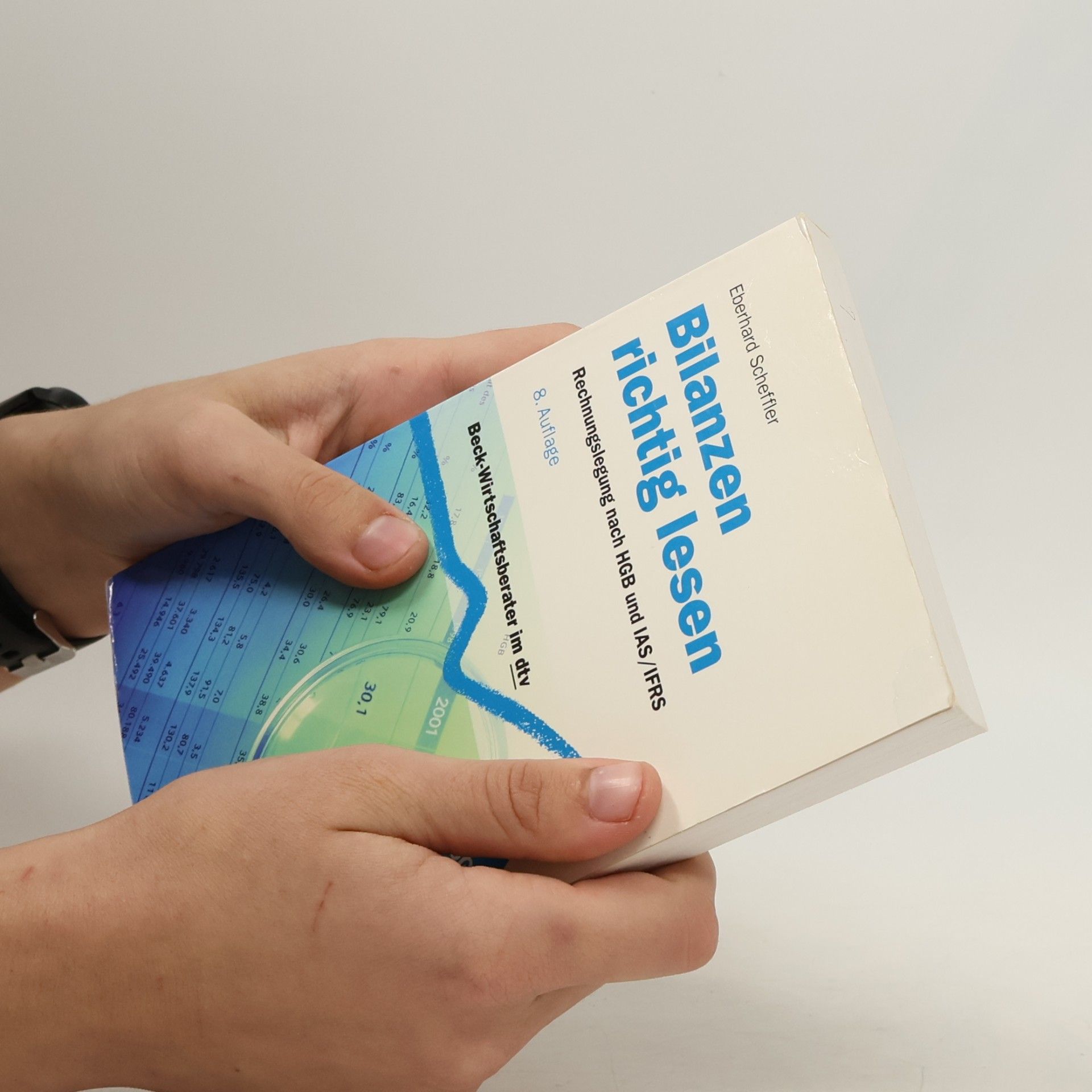 Eberhard Scheffler Bilanzen richtig lesen