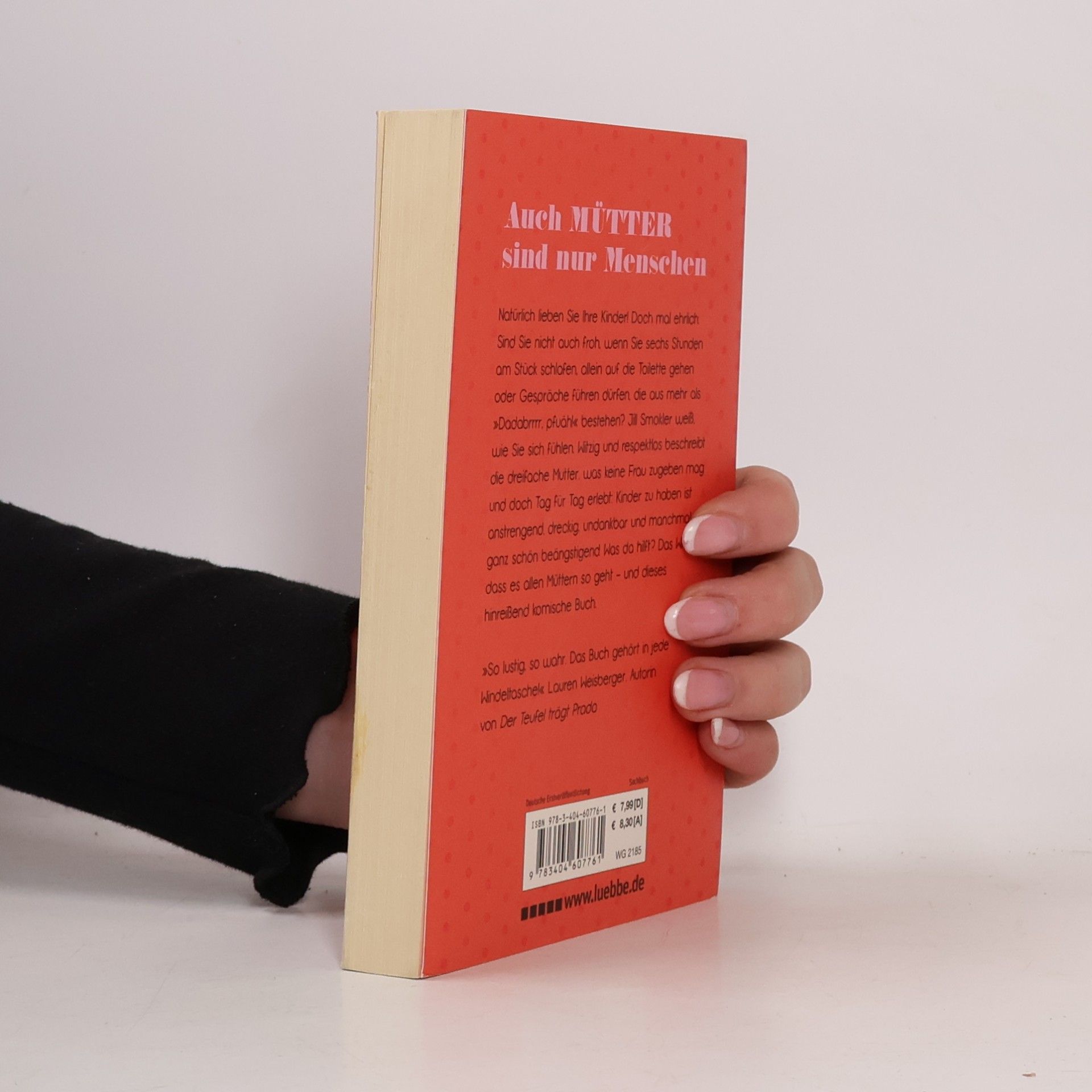 Jill Smokler Das teuflische Mama-Buch