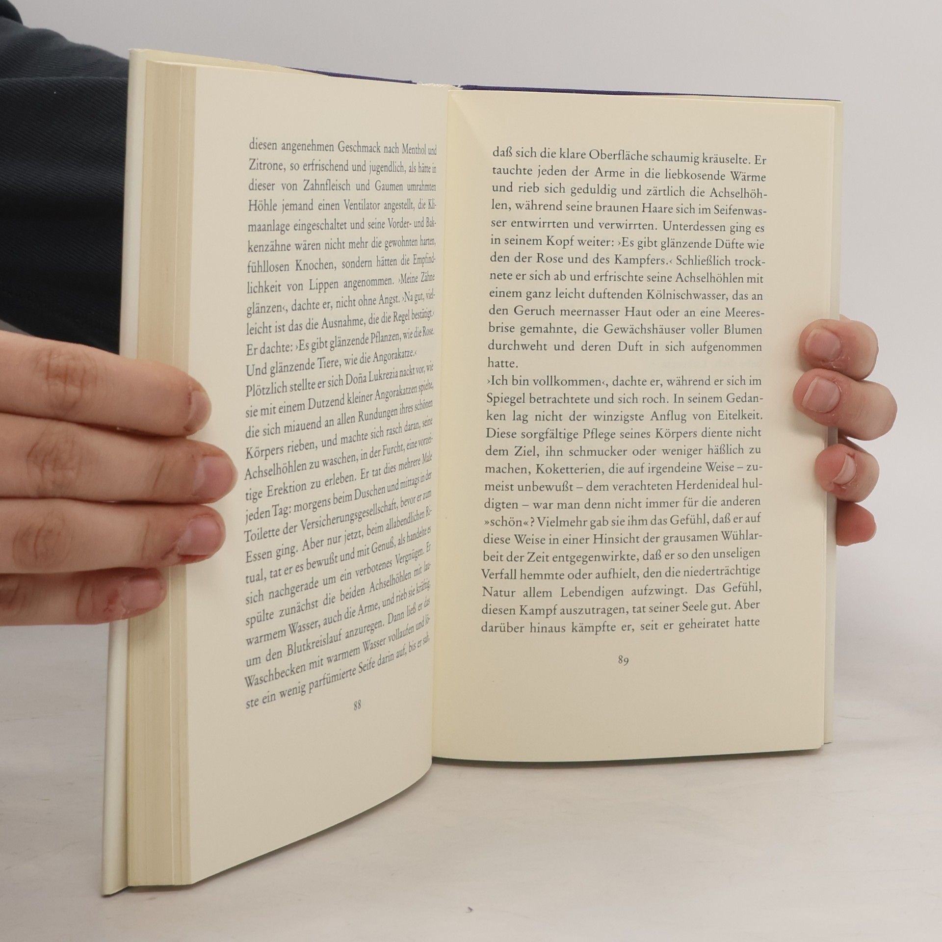 Mario Vargas Llosa Lob der Stiefmutter