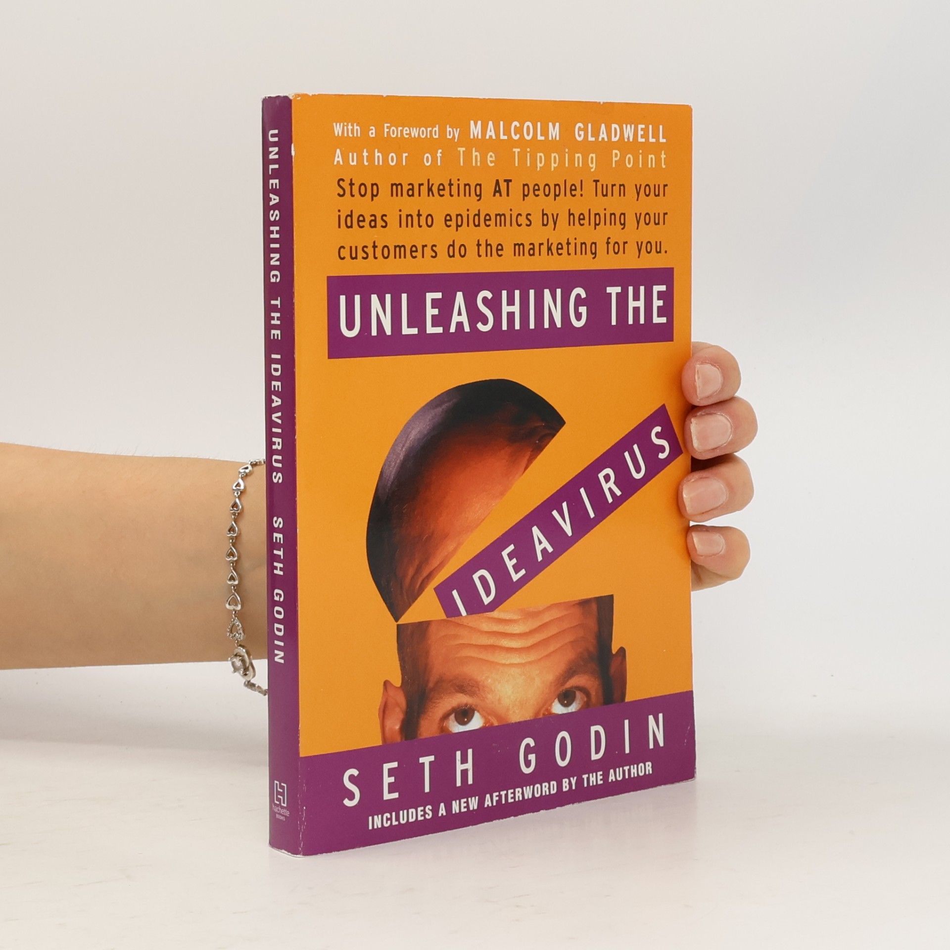 Seth Godin Unleashing the Ideavirus