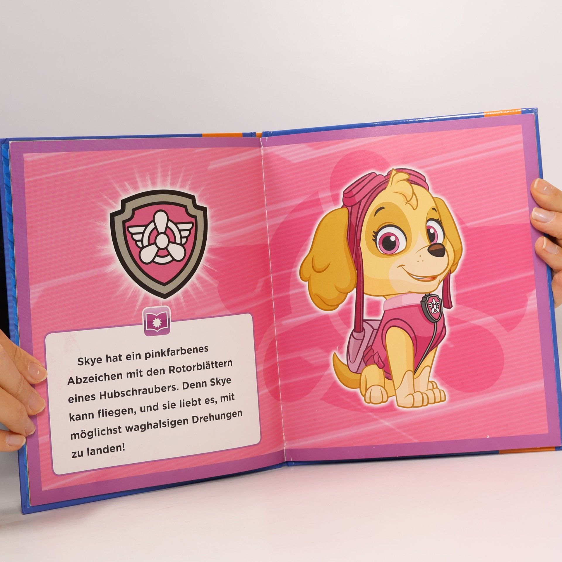 Autorenkollektiv Die Abzeichen der Paw Patrol