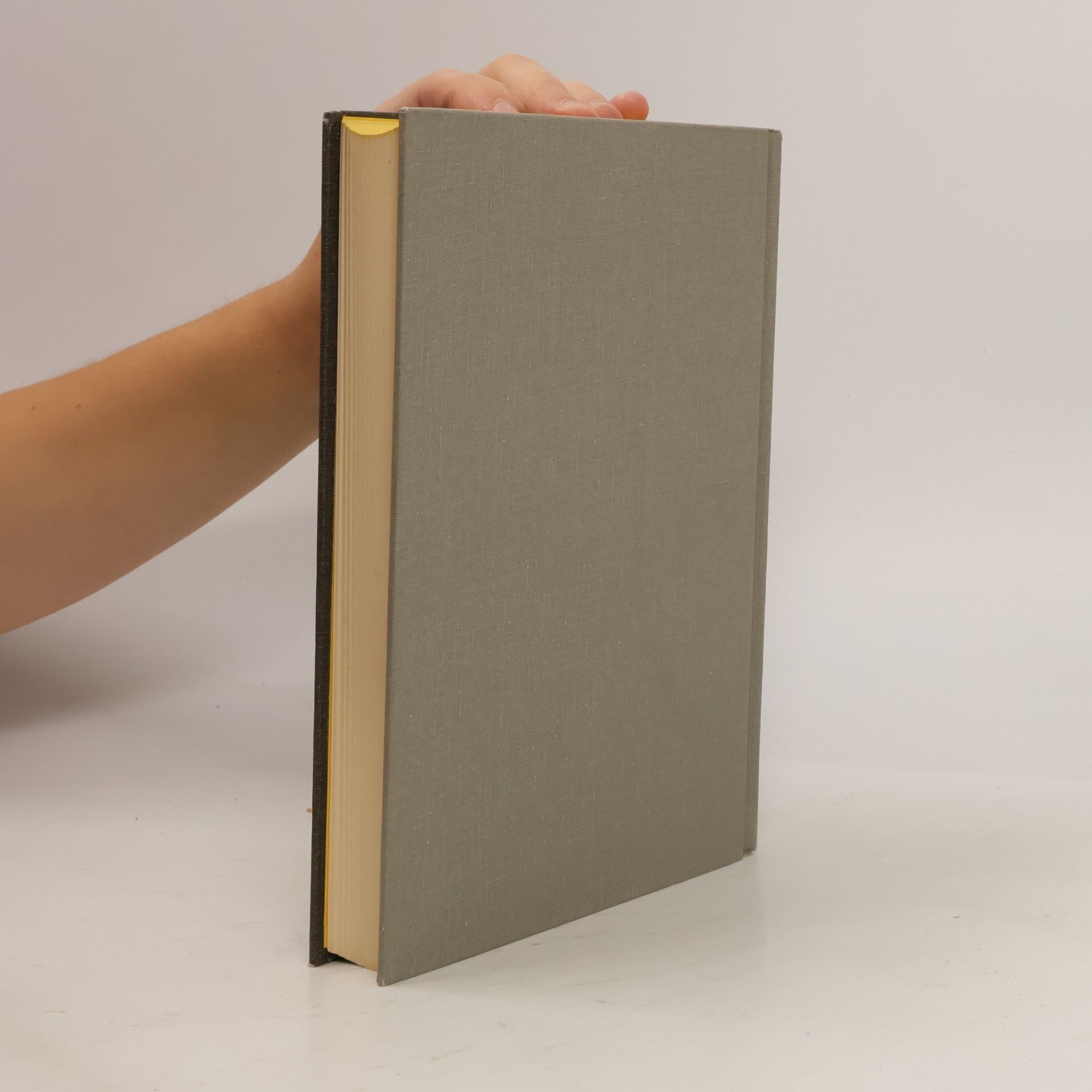 Autores varios Generals in Gray