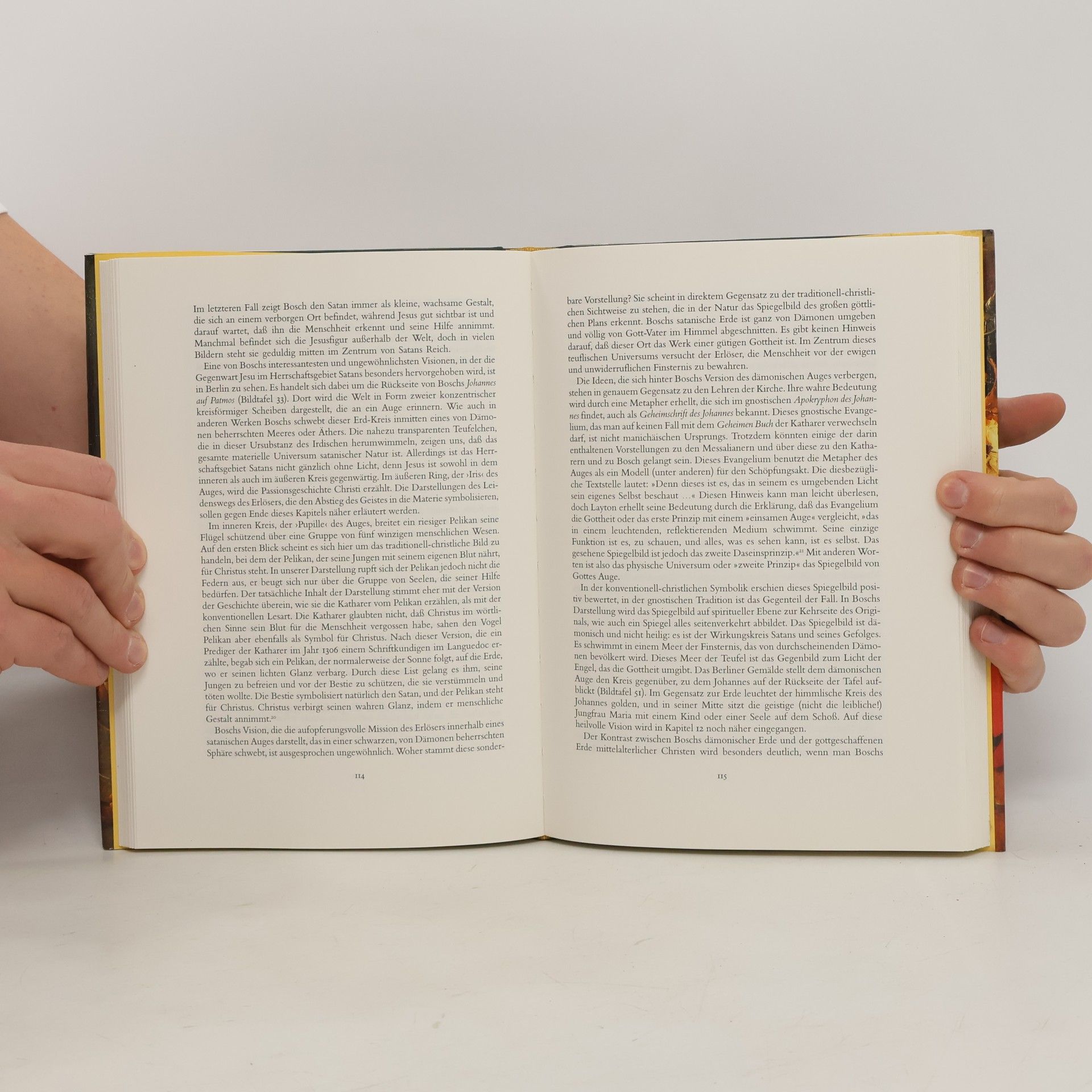 Lynda Harris Hieronymus Bosch und die geheime Bildwelt der Katharer