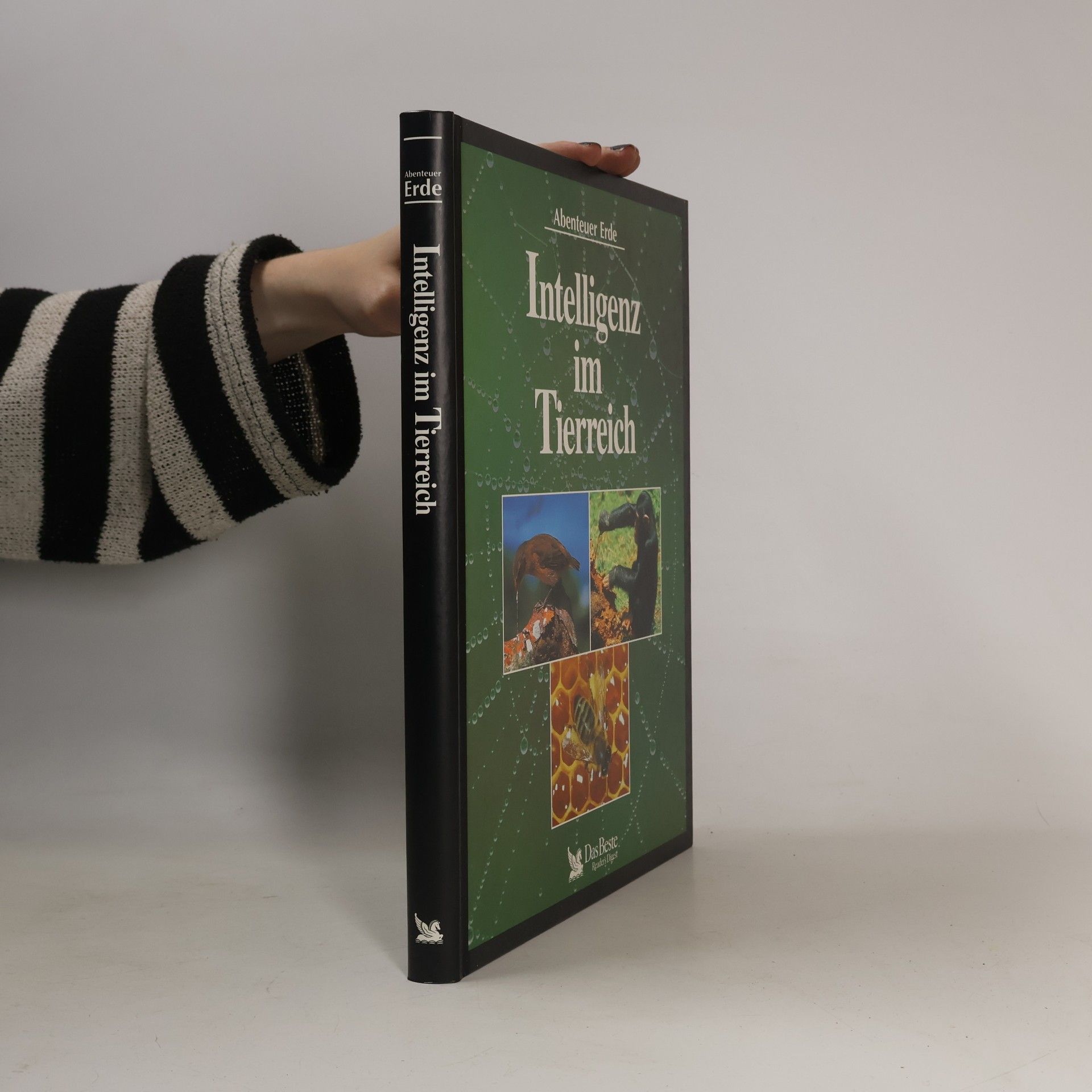 Autorenkollektiv Intelligenz im Tierreich