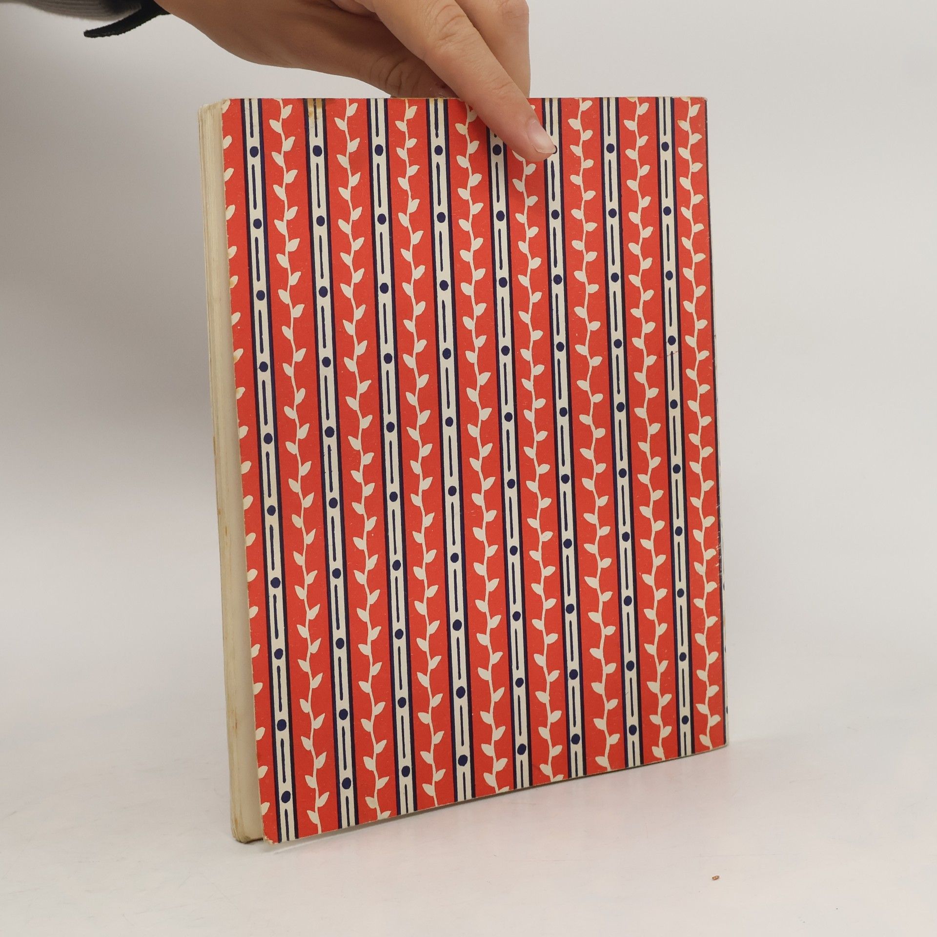 Mollie Clarke The First Roundabout Book