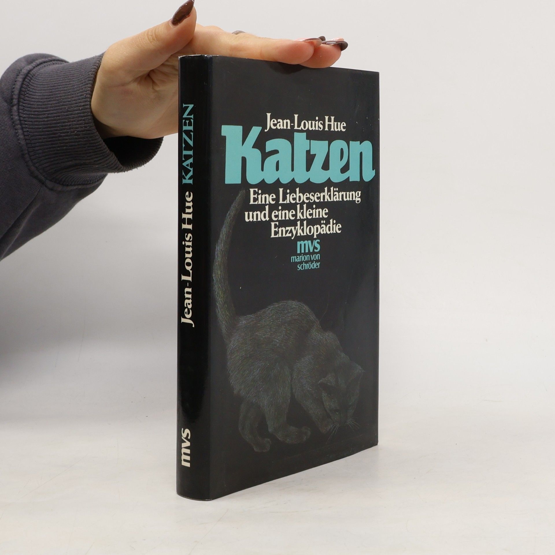 Katzen