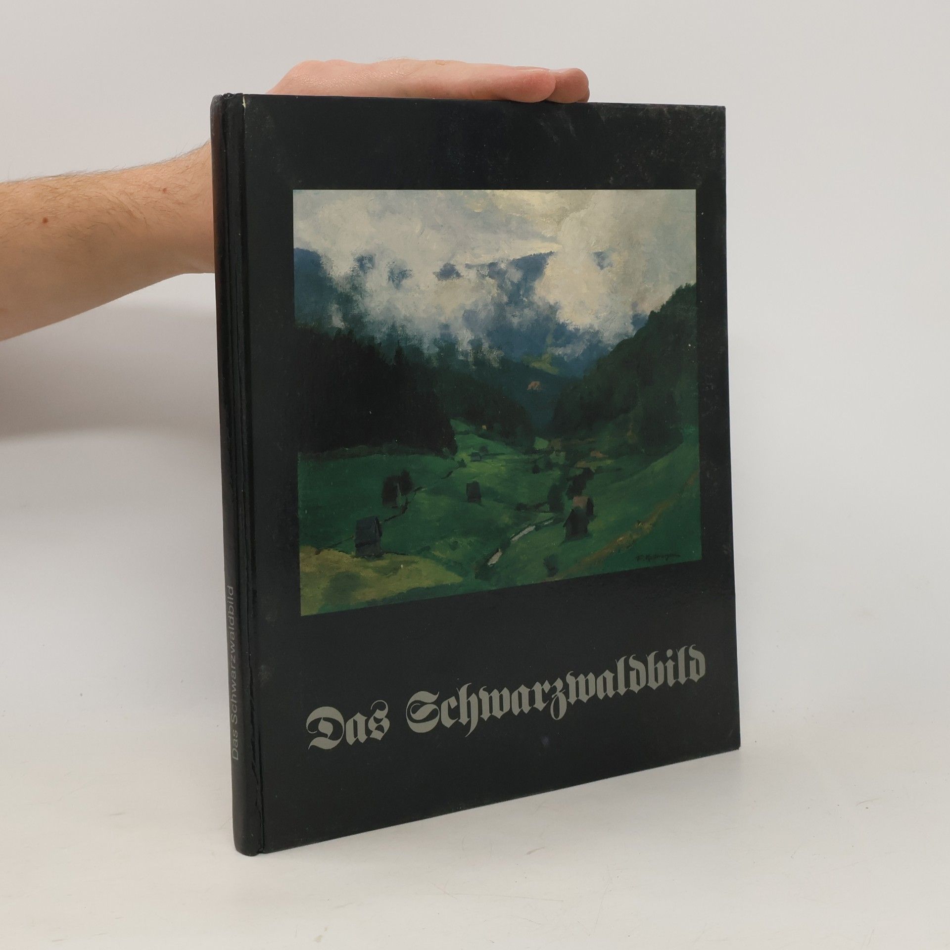 Das Schwarzwaldbild