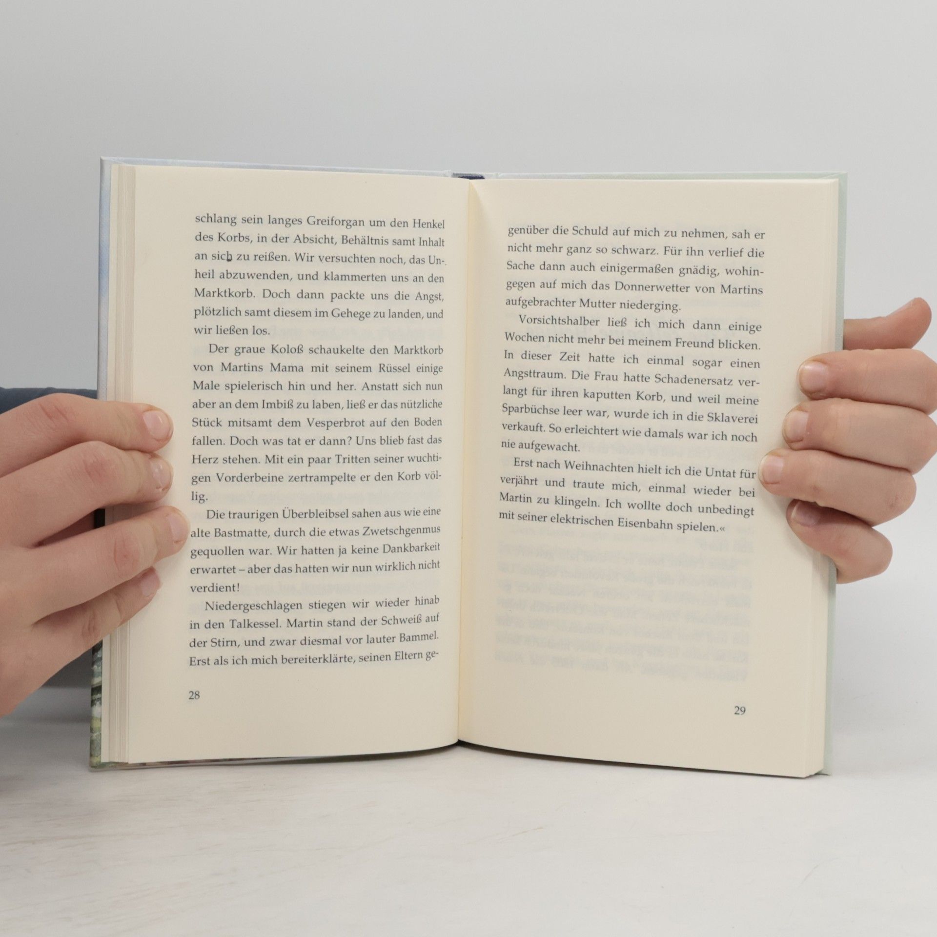 Louis Arthur Holman Die Hosenmadam und andere Geschichten aus Schwaben zum Lesen und Vorlesen