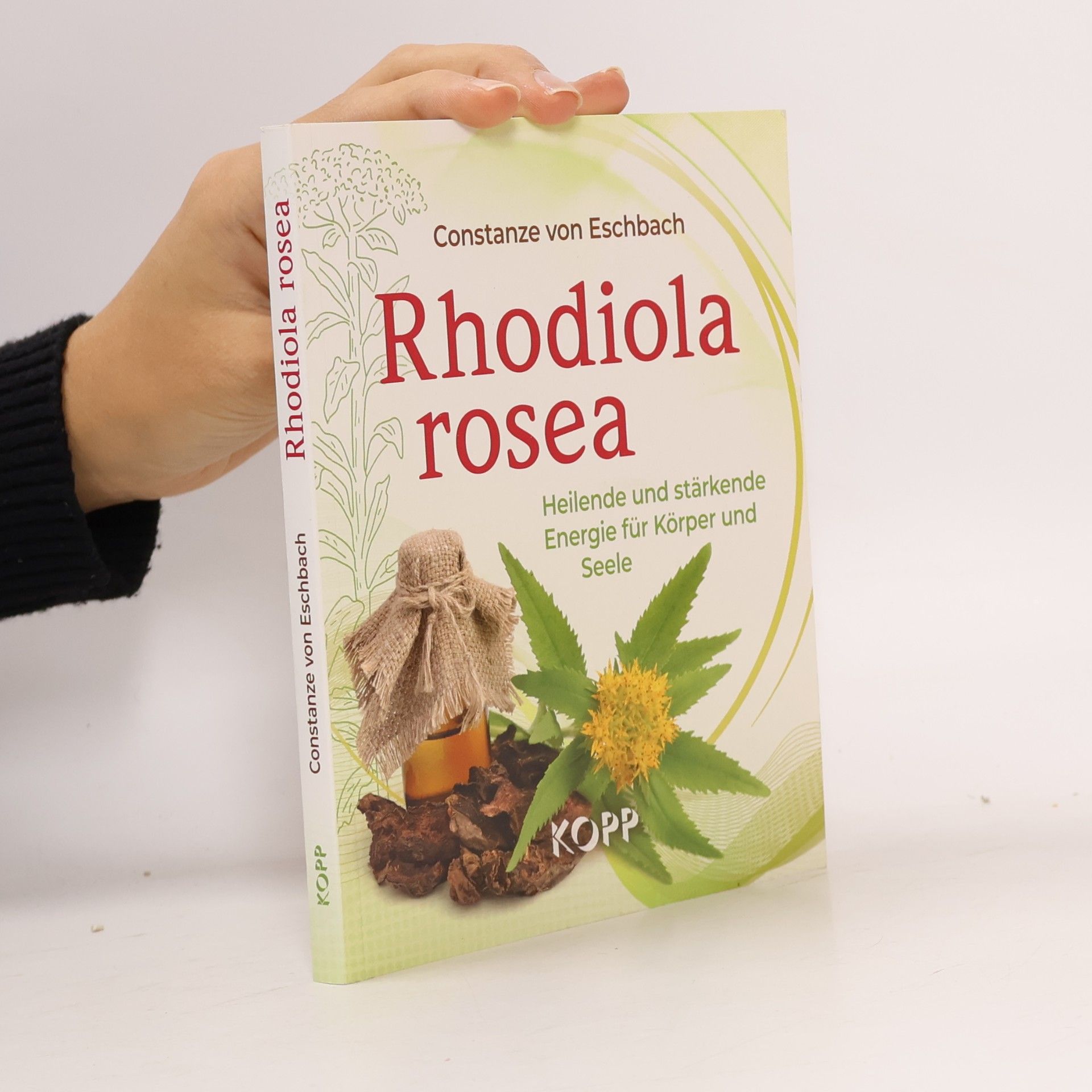 Rhodiola rosea