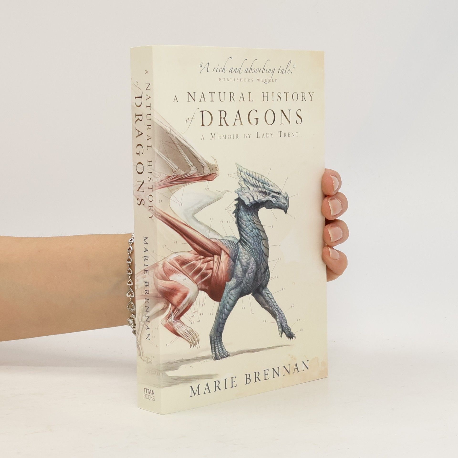 A Natural History of Dragons