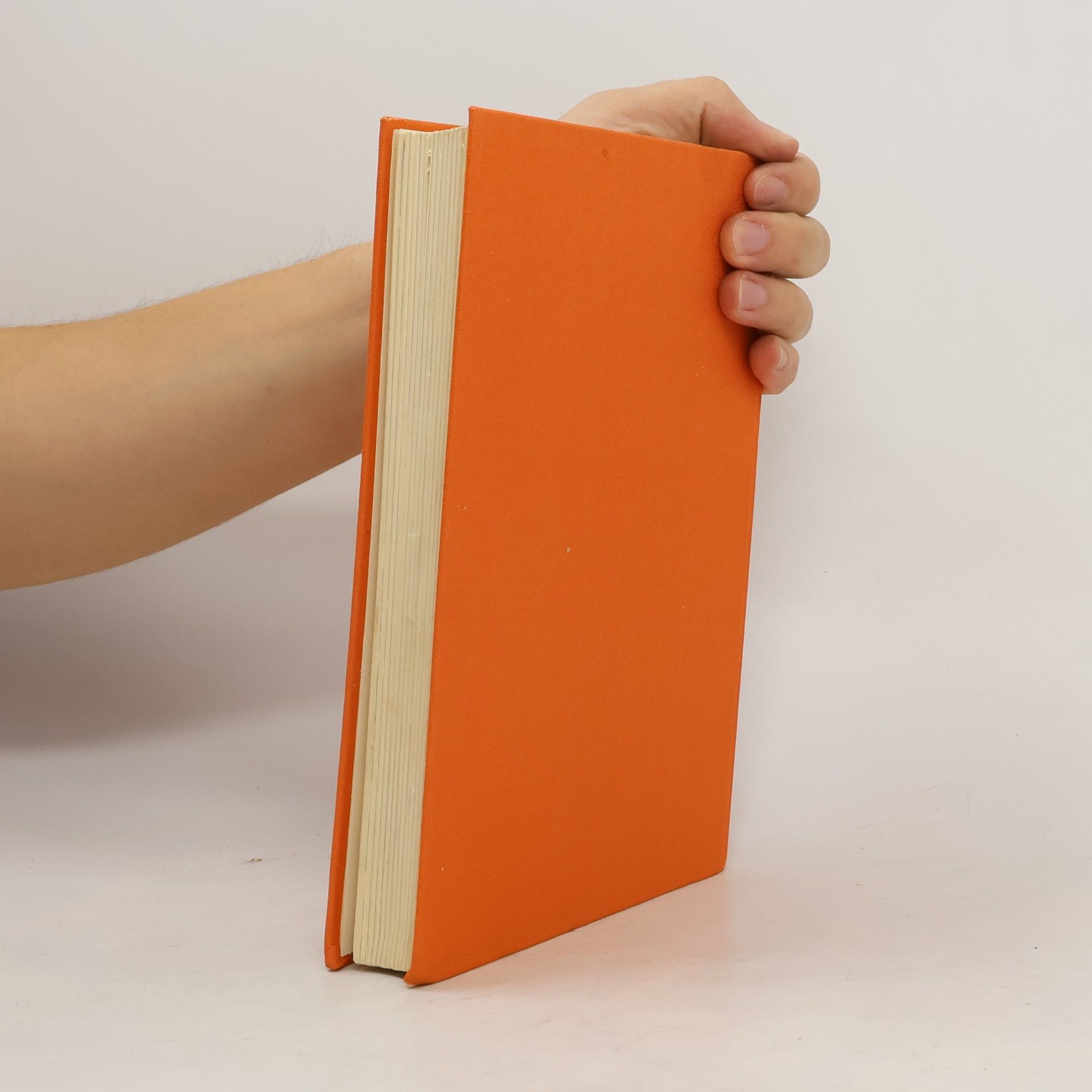 Max Stebich Das grosse wiener Sagenbuch