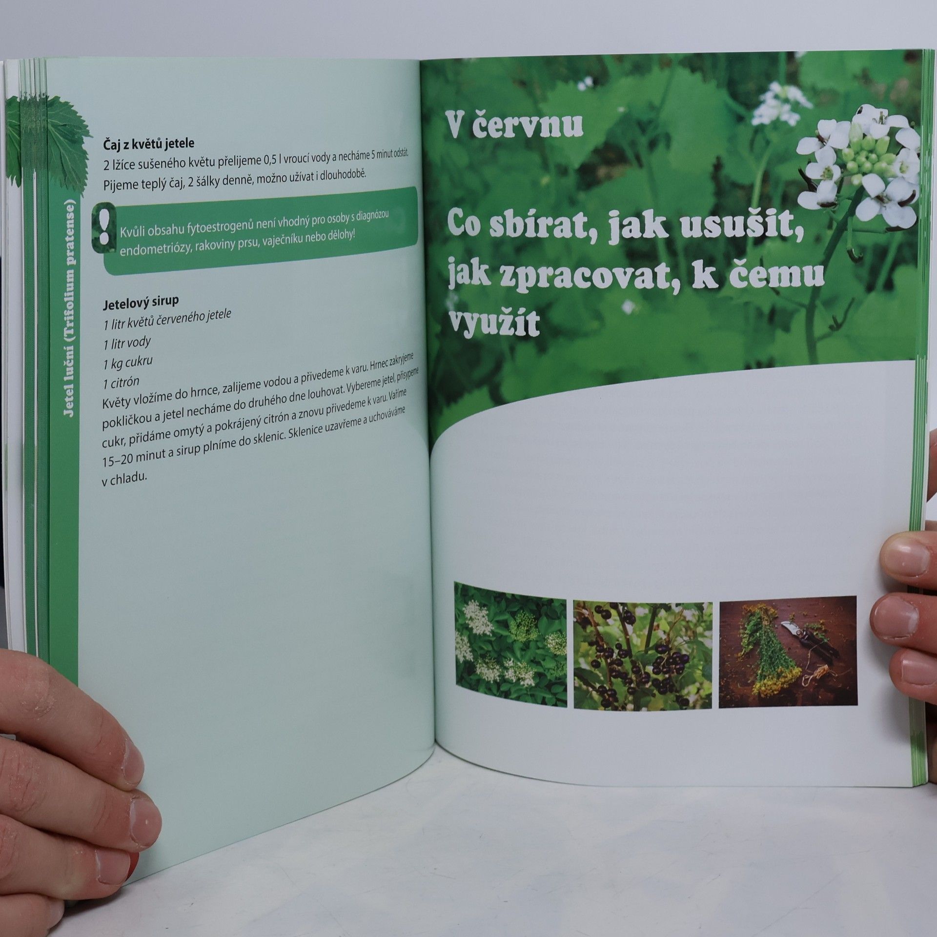 Petra Rubášová Jak pěstovat a zpracovat bylinky české zahrádky