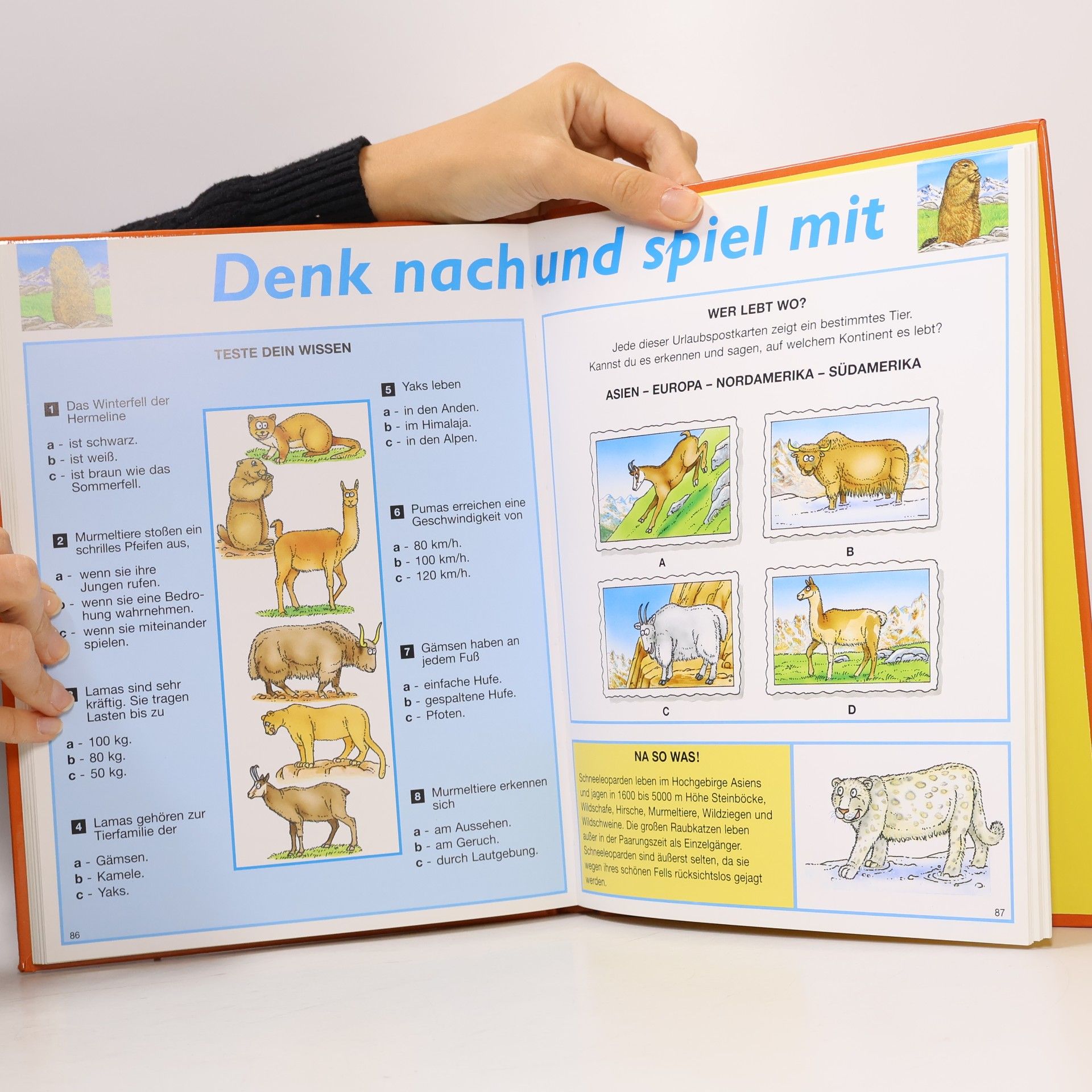 Christine Lazier Lexico. Tiere mit Spaß.
