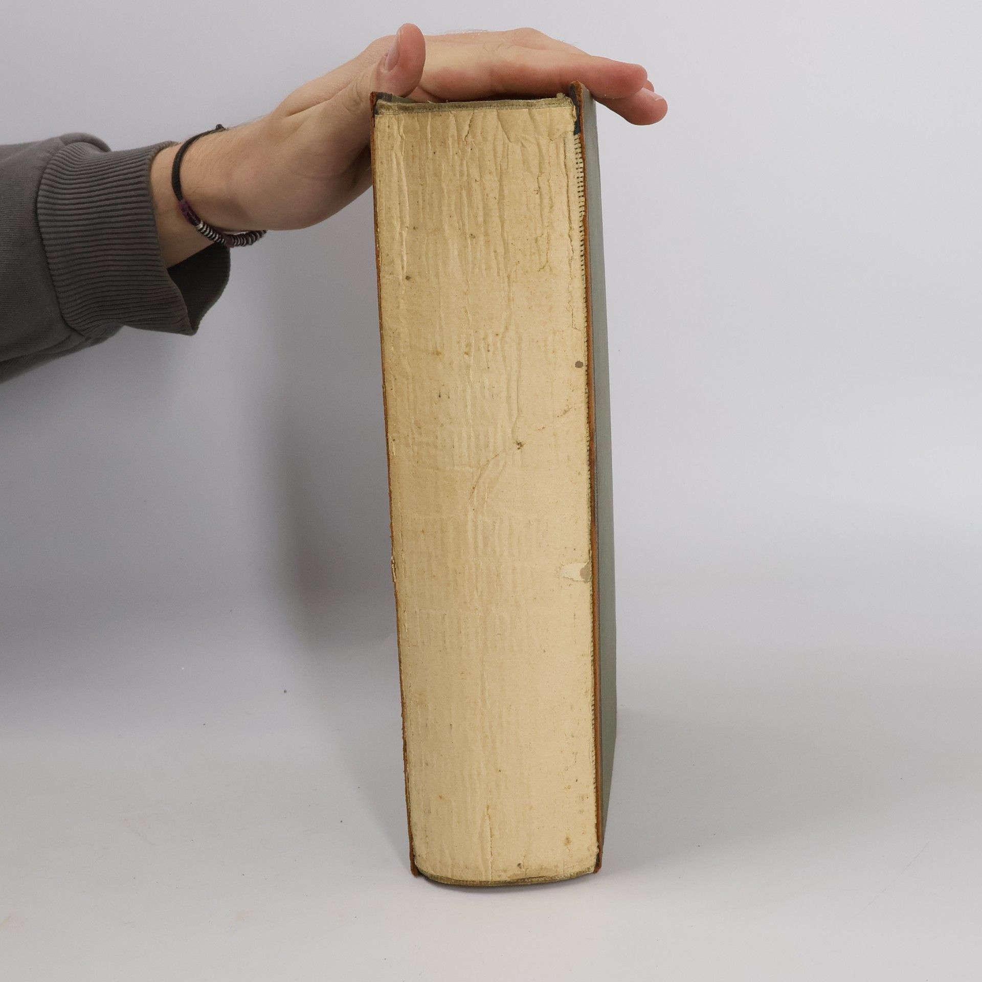 Autorenkollektiv Brockhaus' Konversations-Lexikon 13