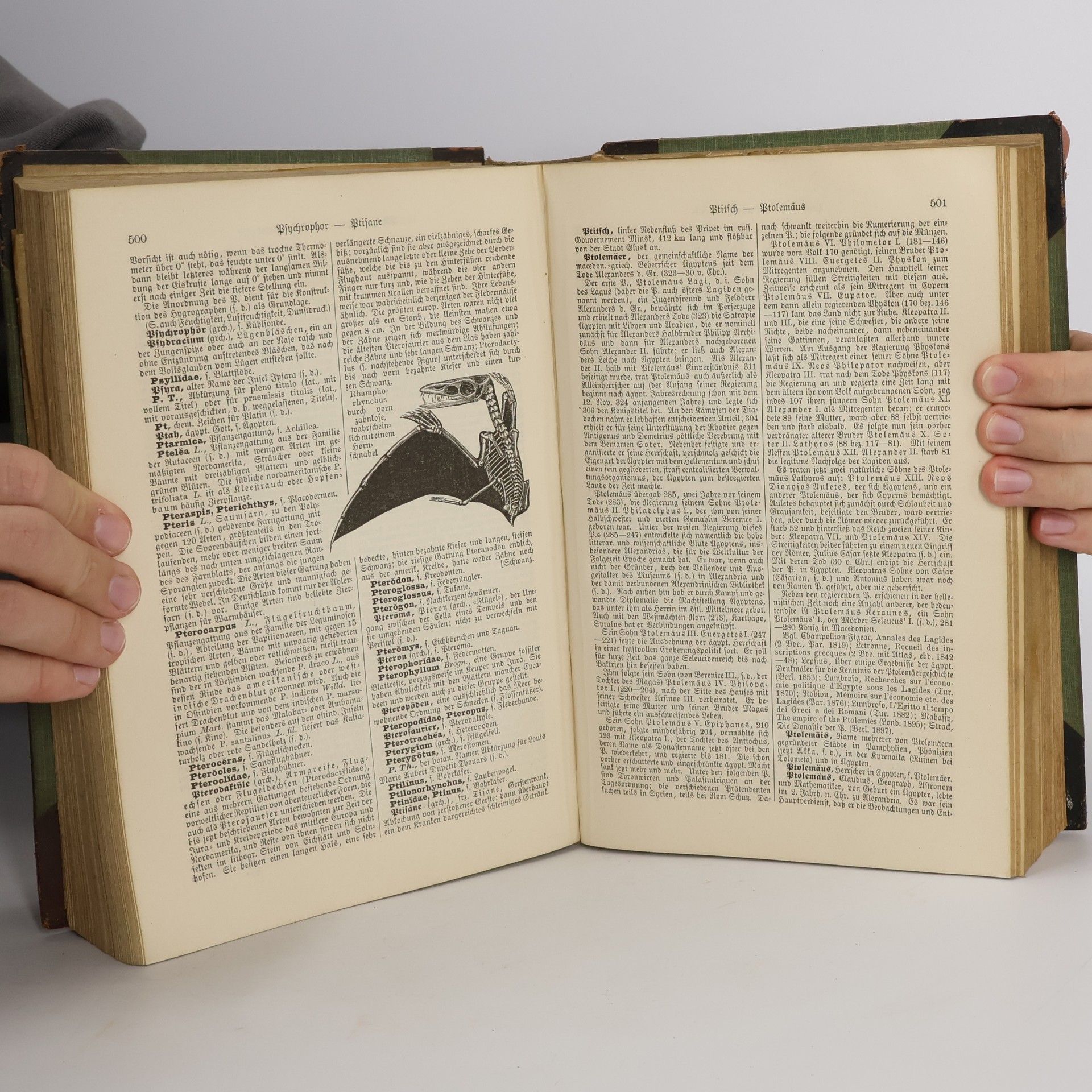 Autorenkollektiv Brockhaus' Konversations-Lexikon 13