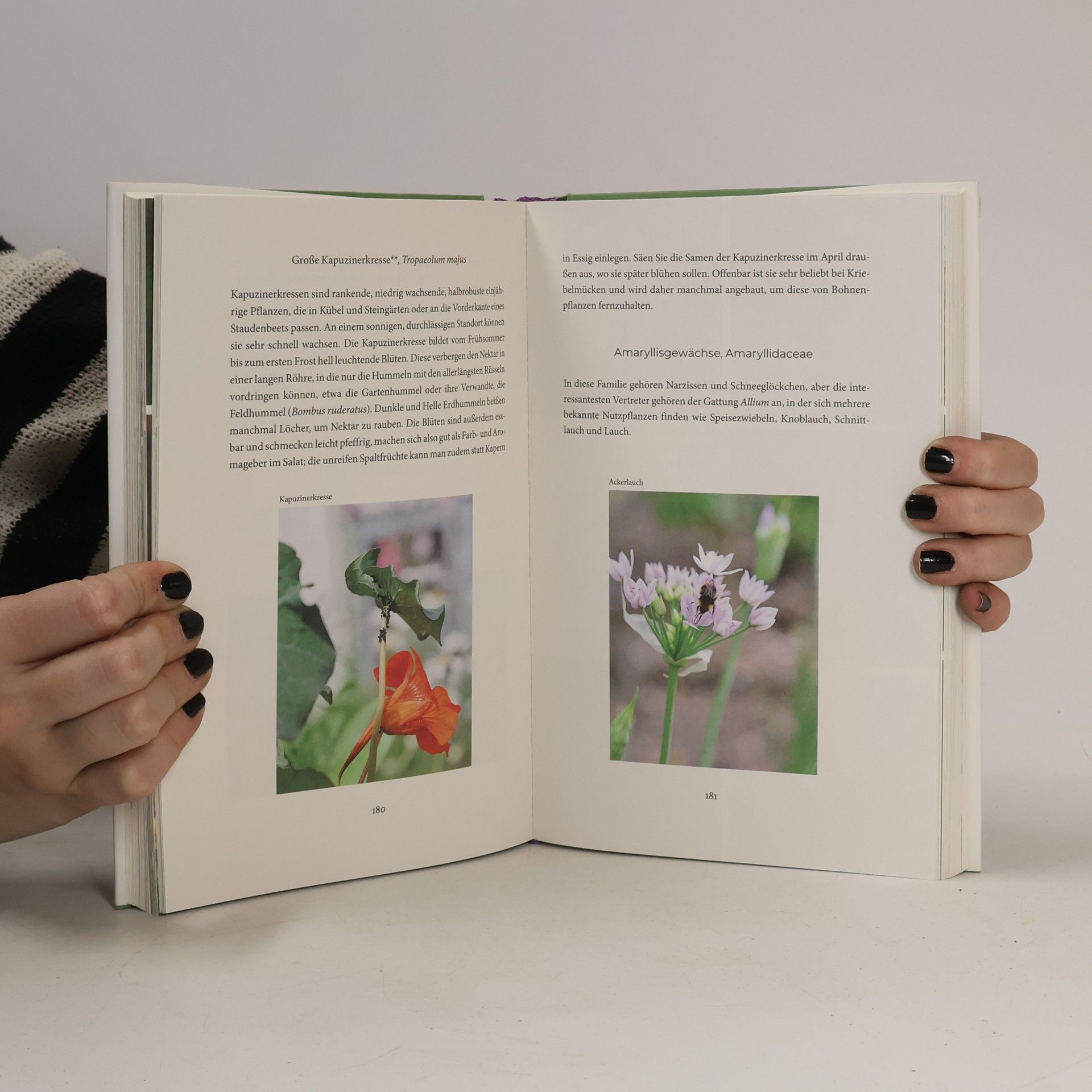 Dave Goulson Bienenweide und Hummelparadies