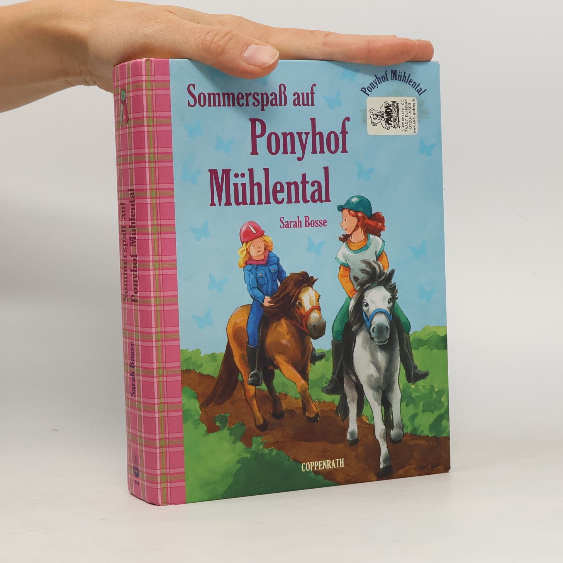 Sommerspaß auf Ponyhof Mühlental