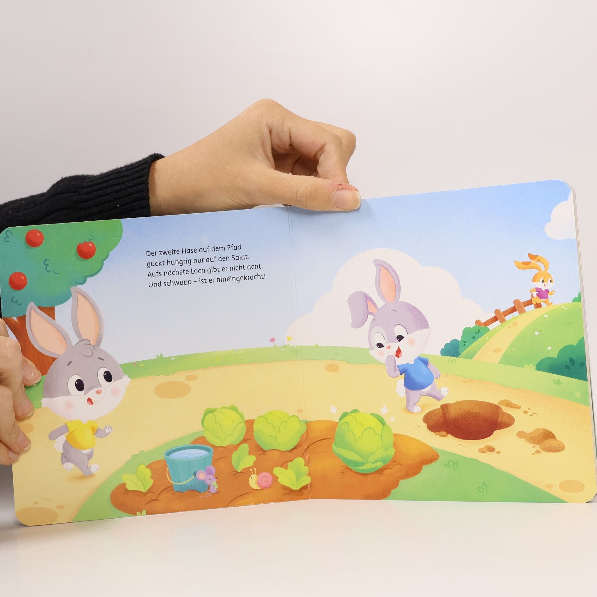 Bernd Penners Mein erstes Lotti Karott: Das lustige Hasenrennen - ein Buch für kleine Fans des Kinderspiel-Klassikers Lotti Karotti