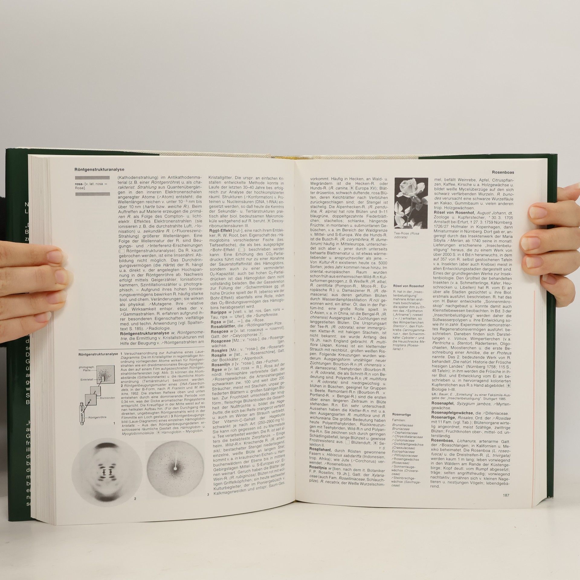 Lexikon der Biologie
