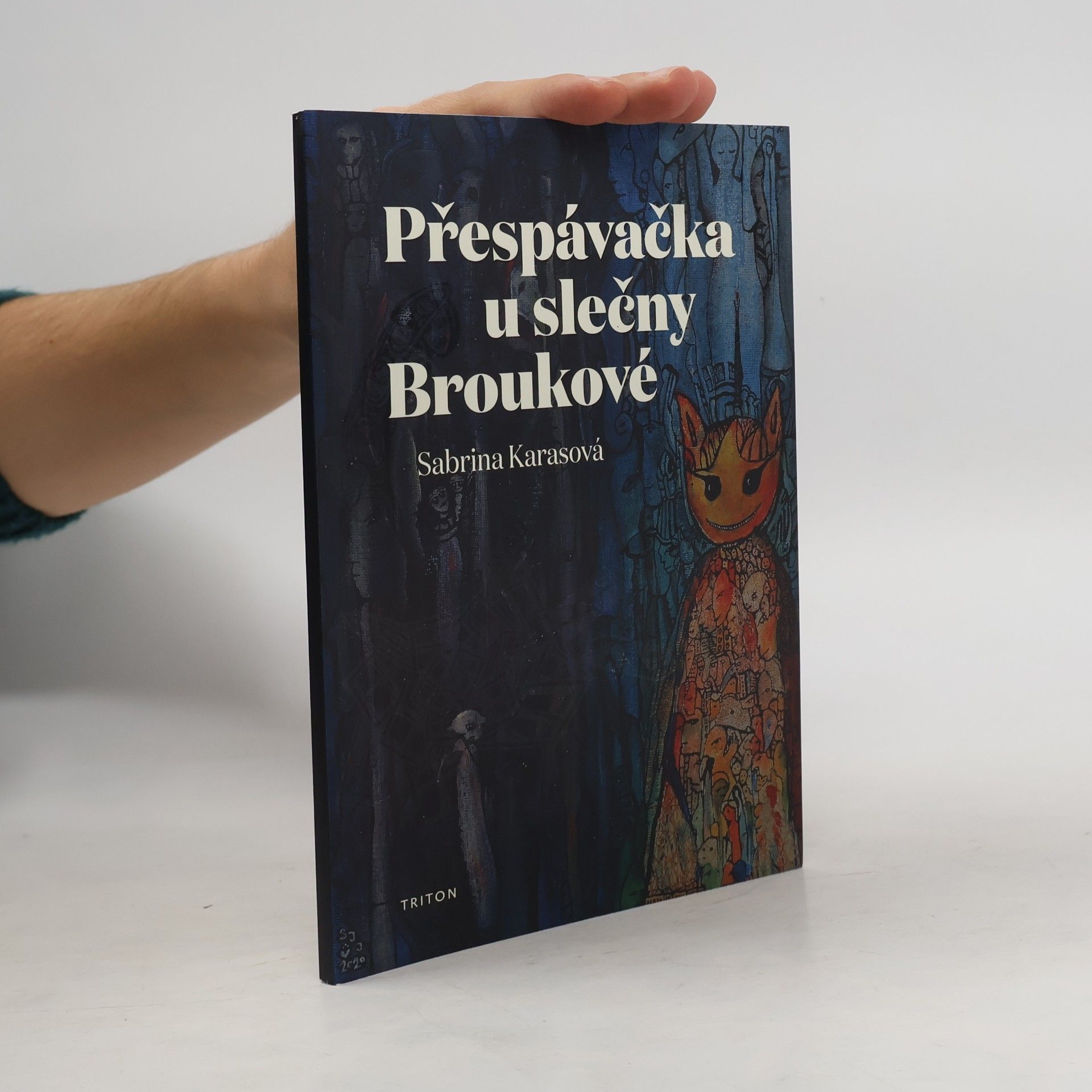 Přespávačka u slečny Broukové