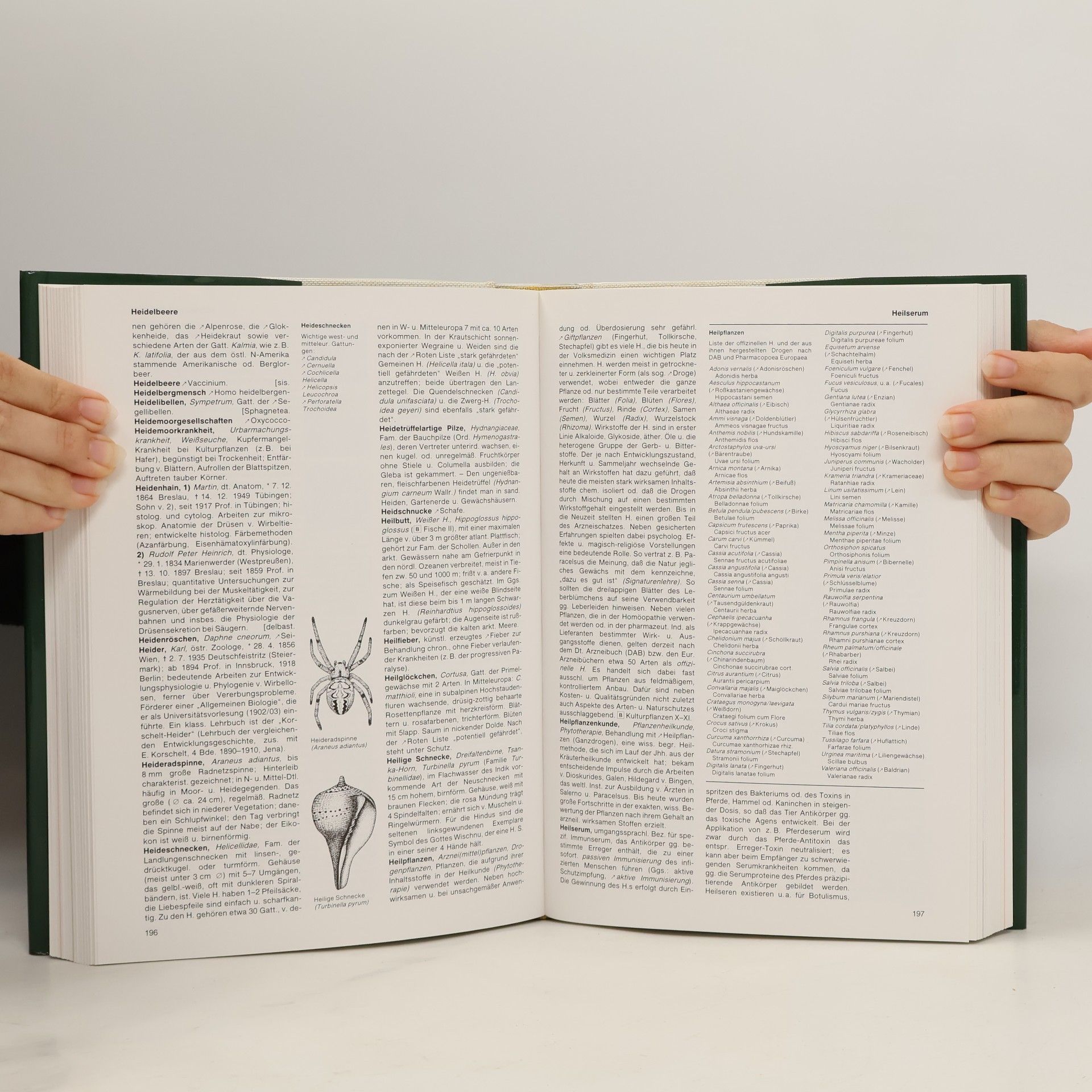 Lexikon der Biologie
