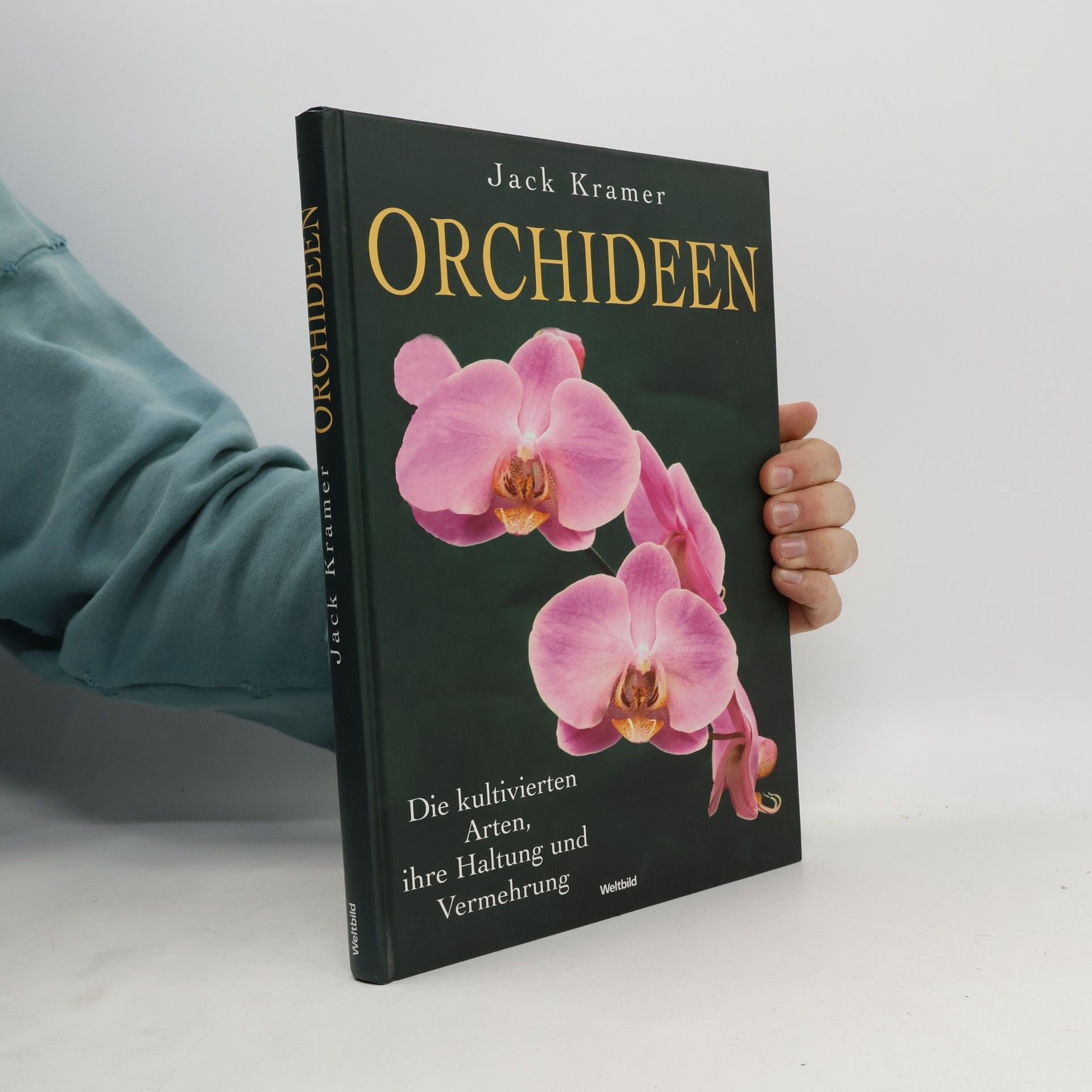 Orchideen