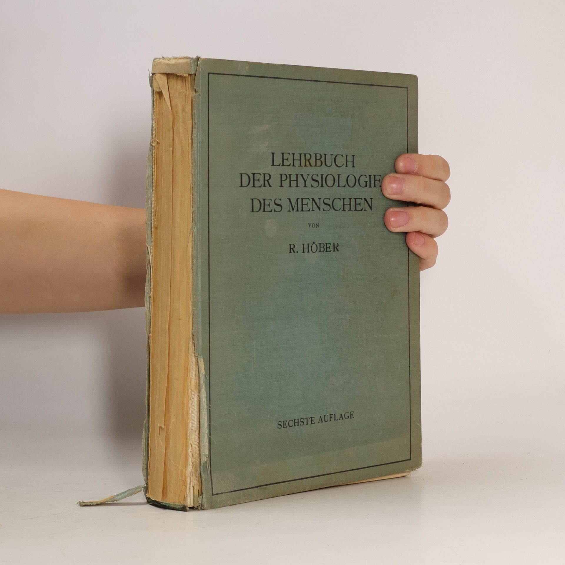 Lehrbuch der Physiologie des Menschen