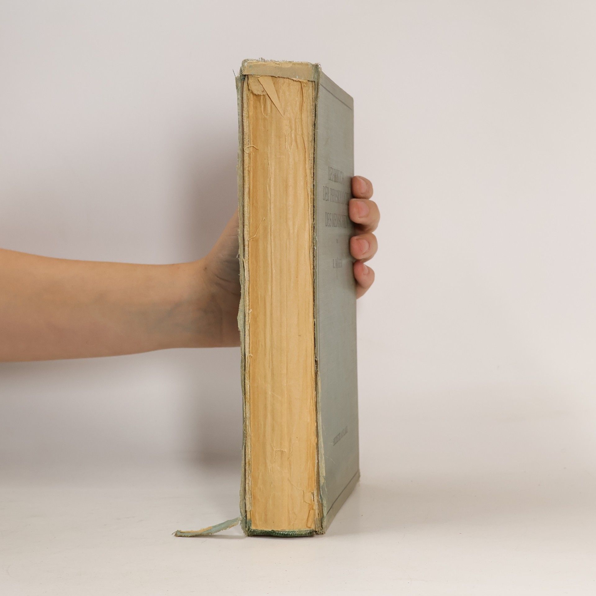 Rudolf Hoberg Lehrbuch der Physiologie des Menschen