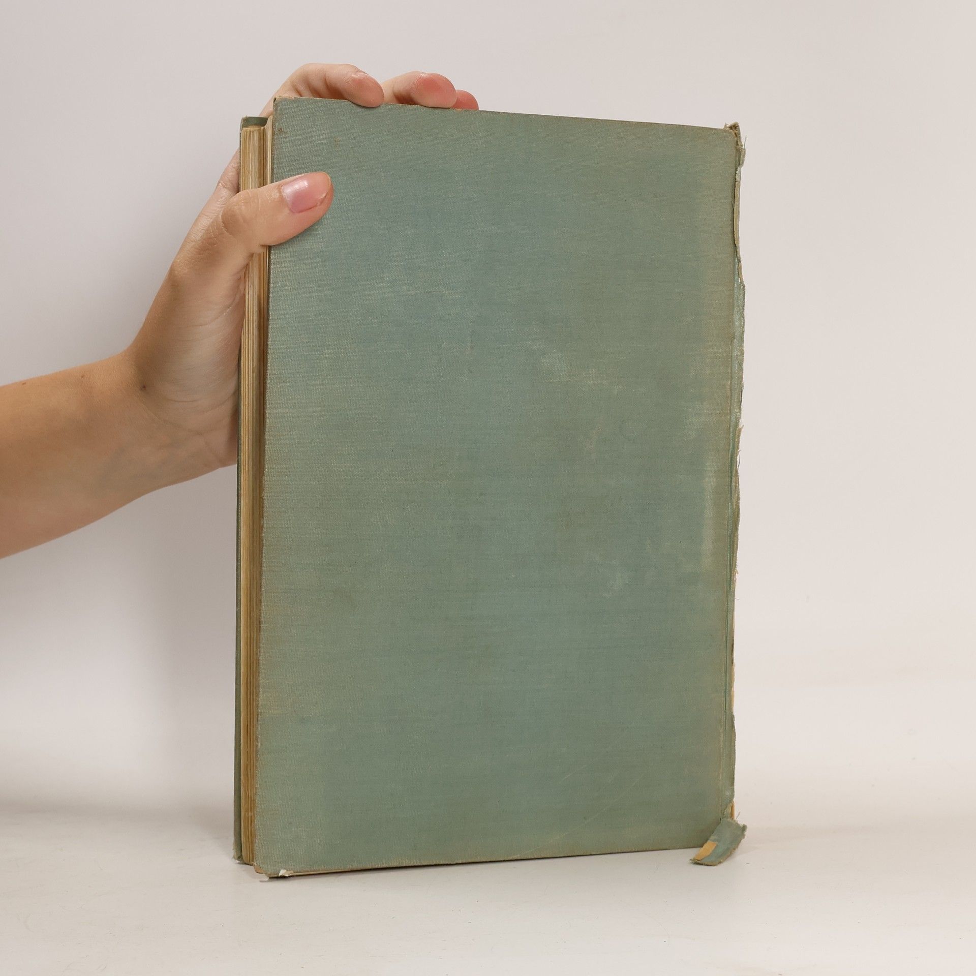 Rudolf Hoberg Lehrbuch der Physiologie des Menschen