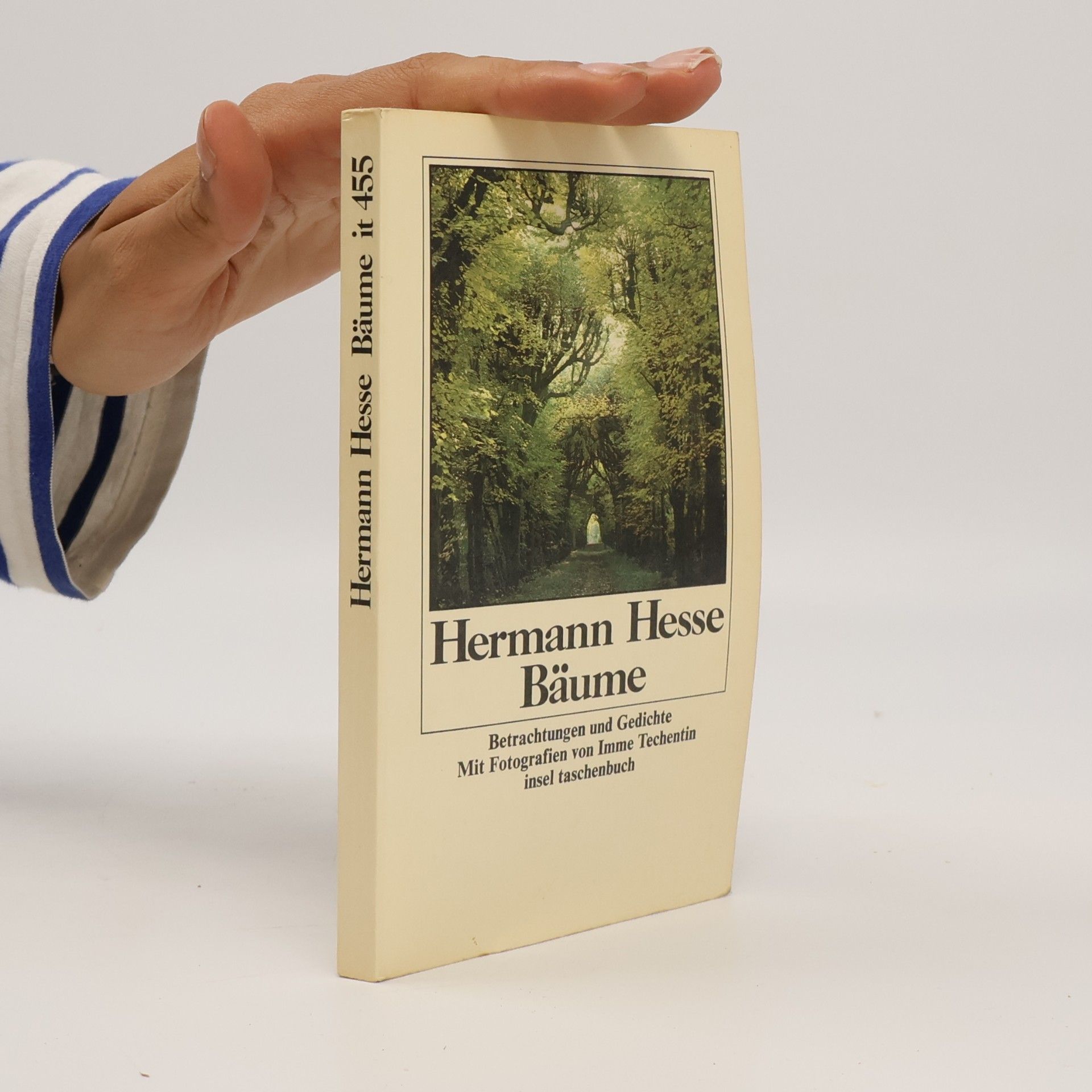 Hermann Hesse Bäume