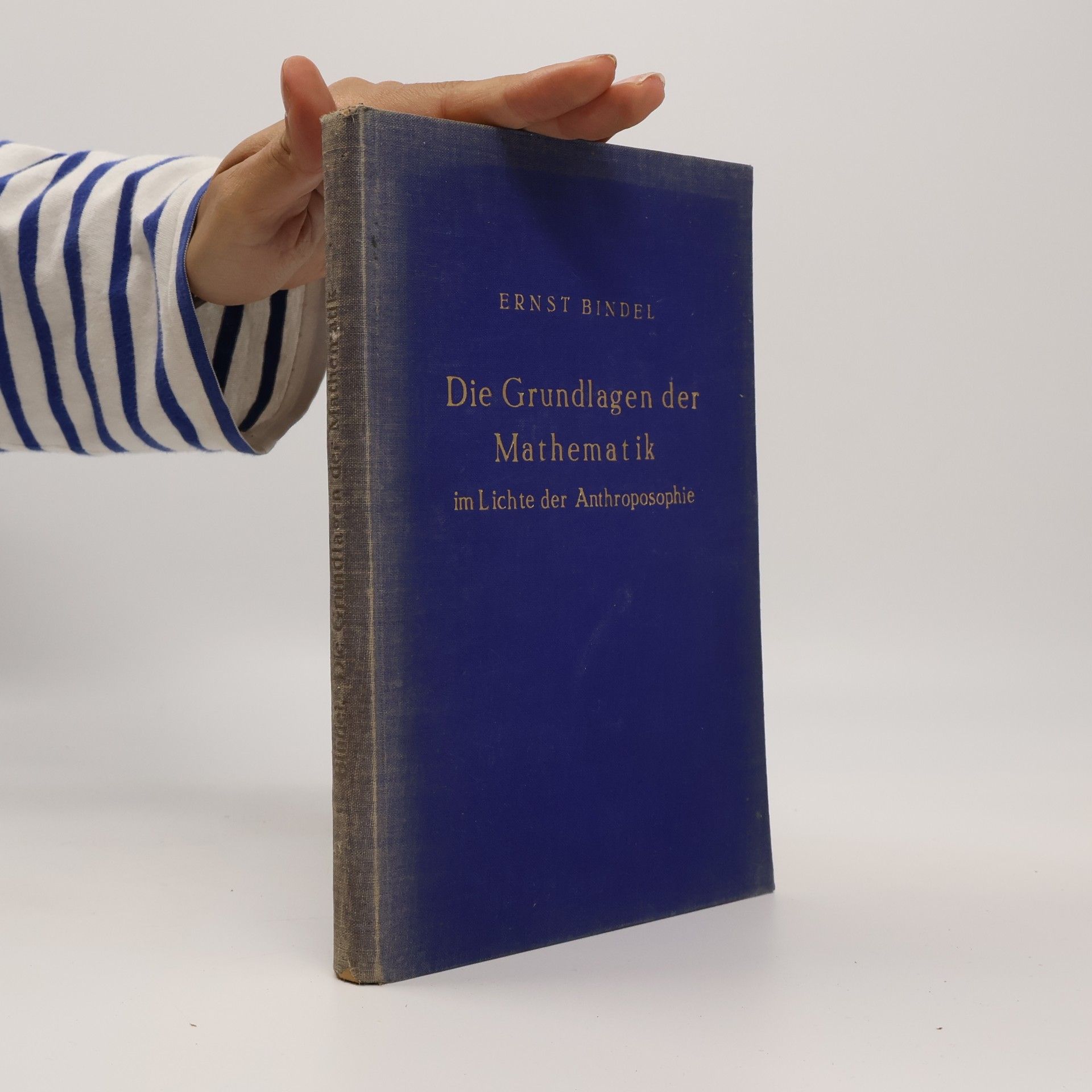 Die Grundlagen der Mathematik