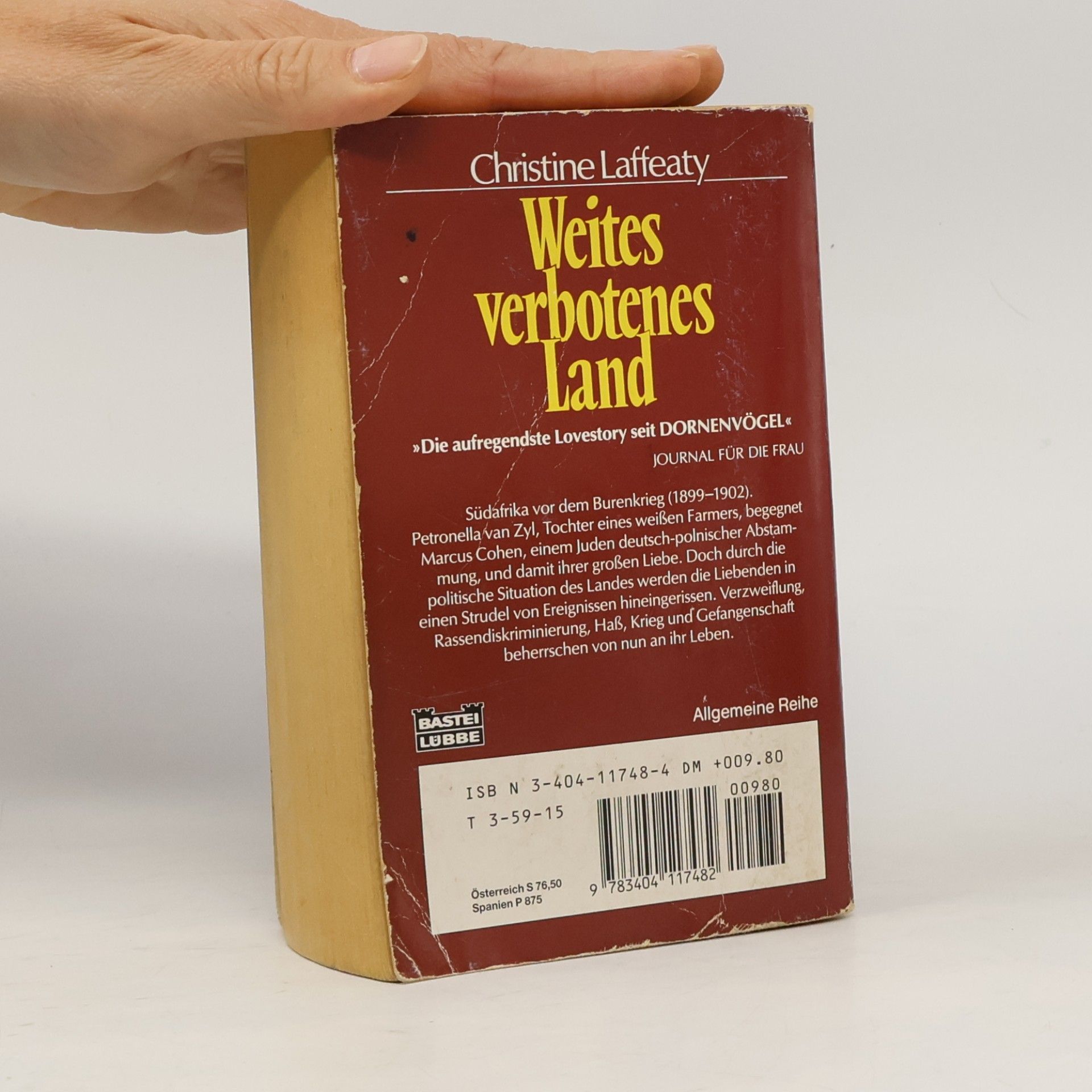 Christine Laffeaty Weites verbotenes Land