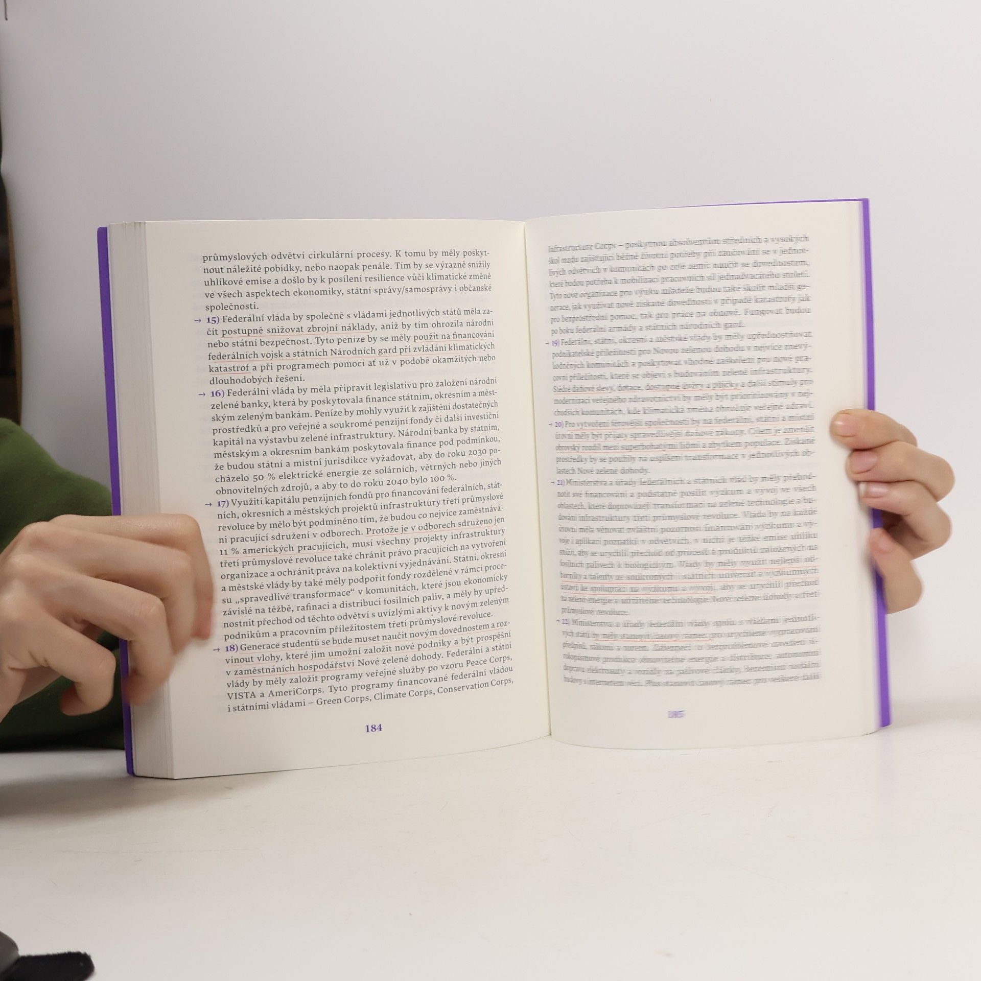 Jeremy Rifkin Green Deal. Strašák, nebo jedinečná šance?