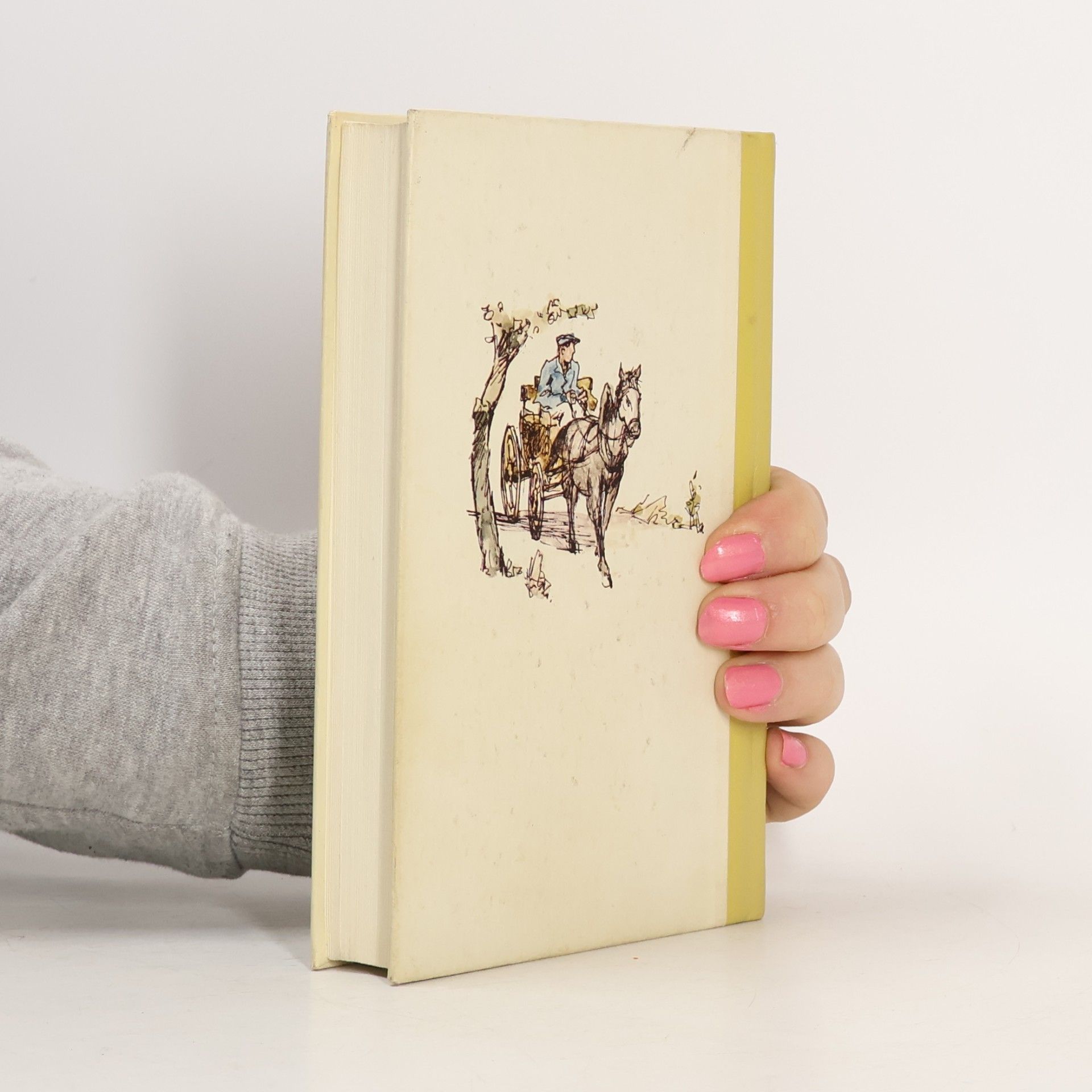 Horst Wolfram Geißler Die Frau, die man liebt