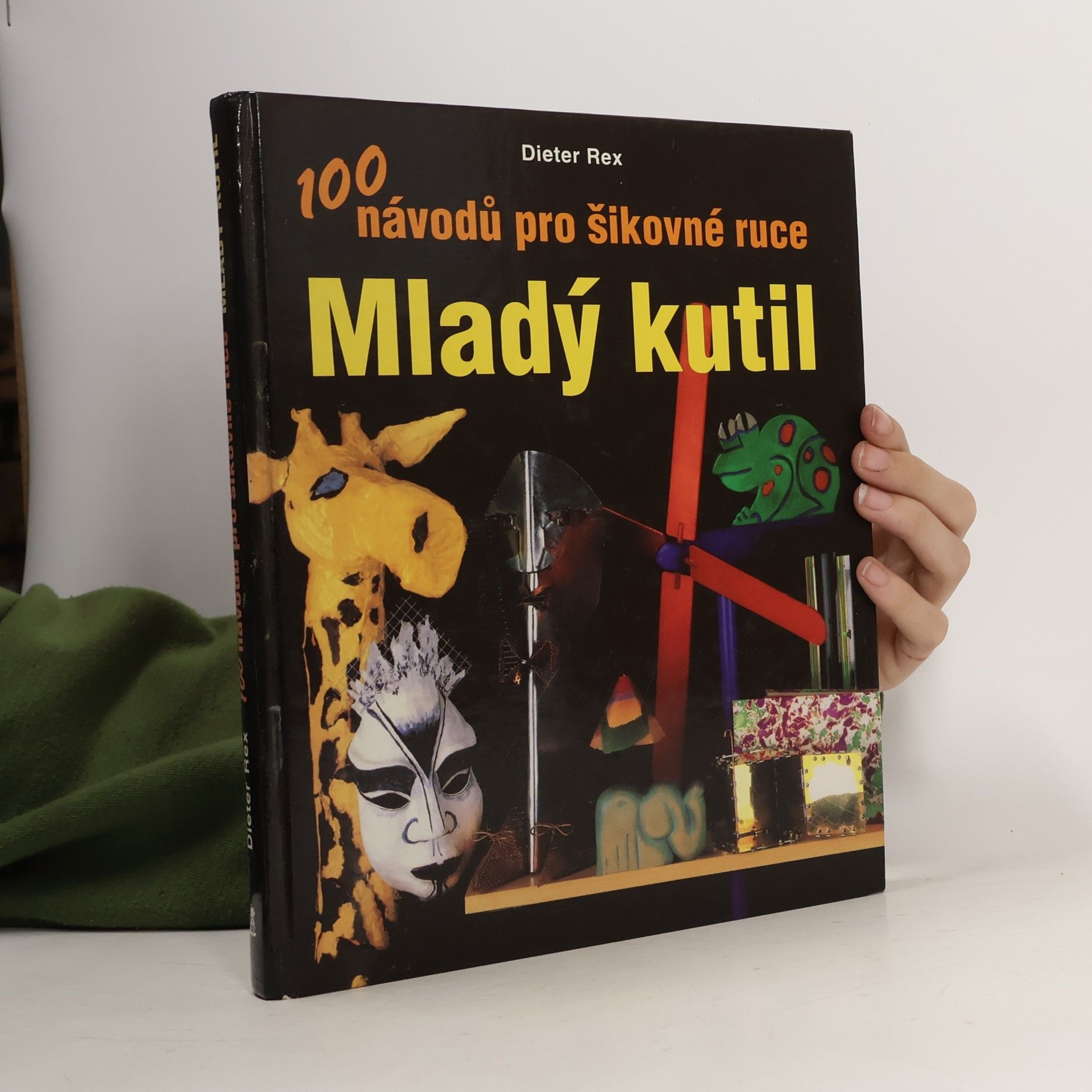 Mladý kutil. 100 návodů pro šikovné ruce