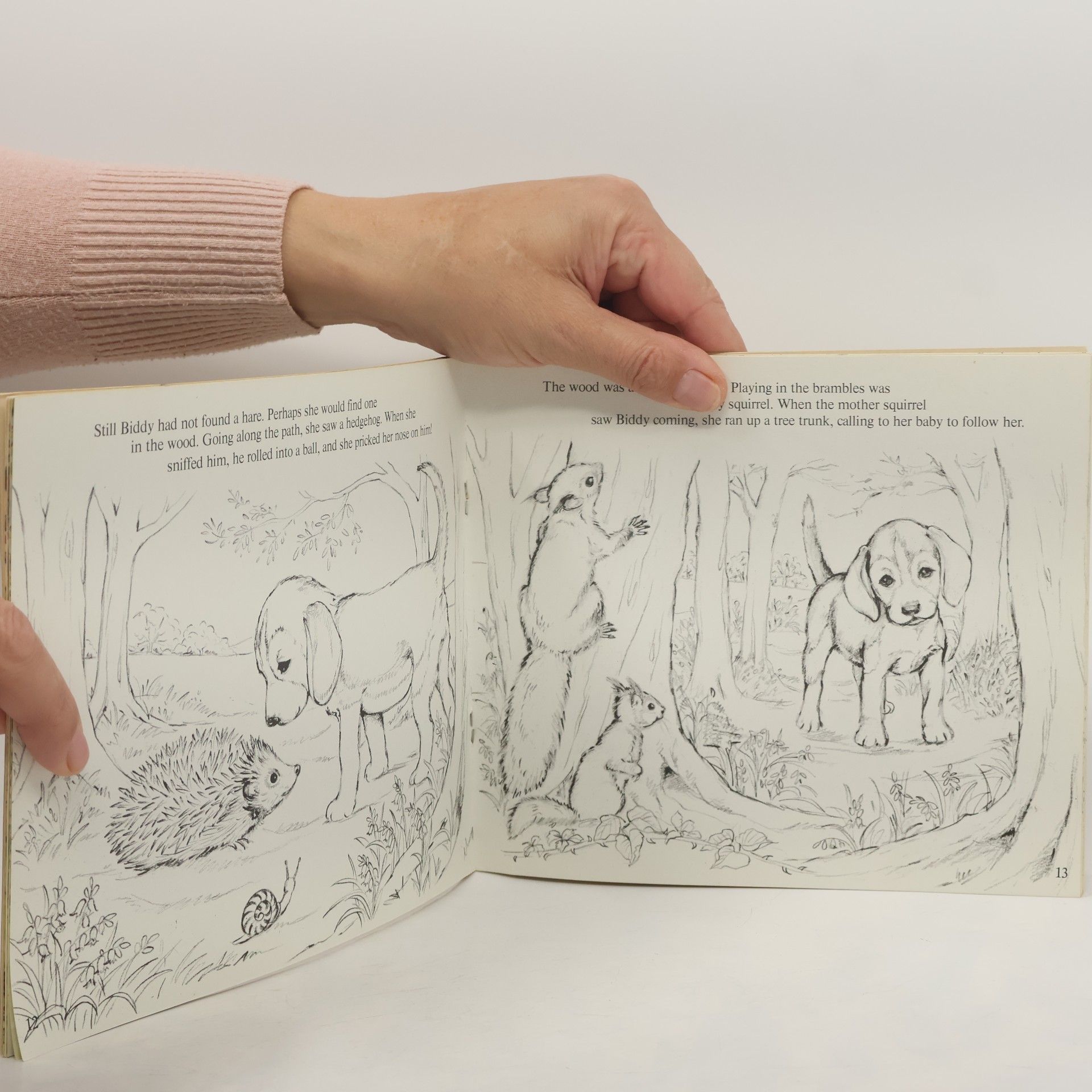 Audrey Tarrant Biddy Finds a Hare