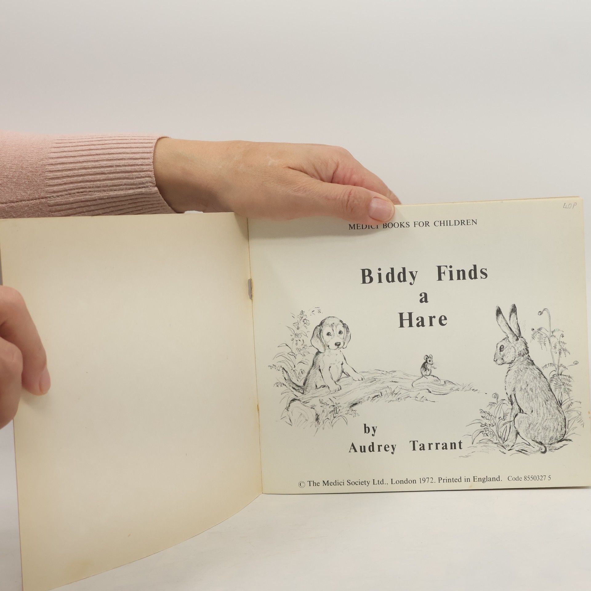 Audrey Tarrant Biddy Finds a Hare