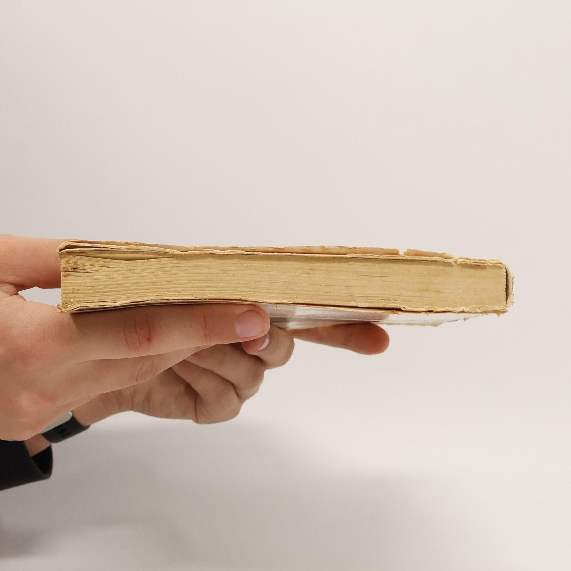 Severin Schär Das grosse Heilfasten für Anfänger Buch