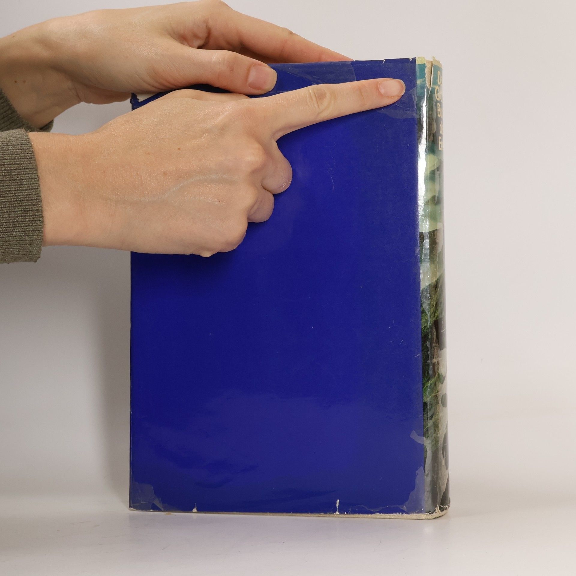 Autorenkollektiv Das Große Buch der Erde