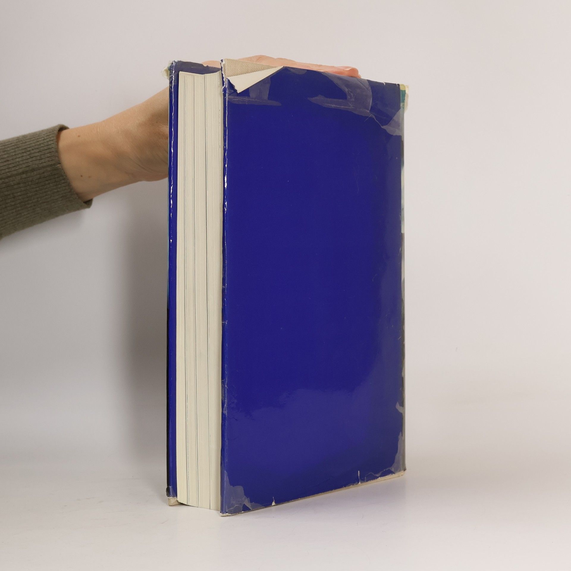 Autorenkollektiv Das Große Buch der Erde
