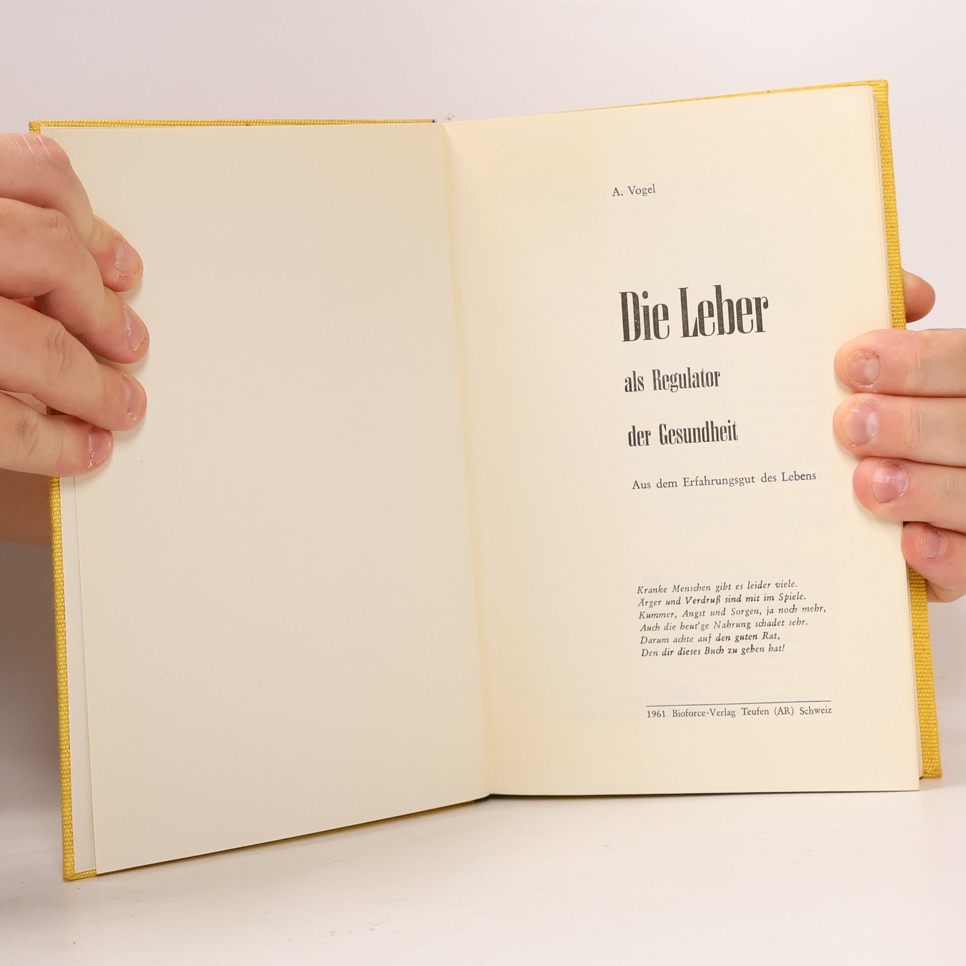 Die Leber