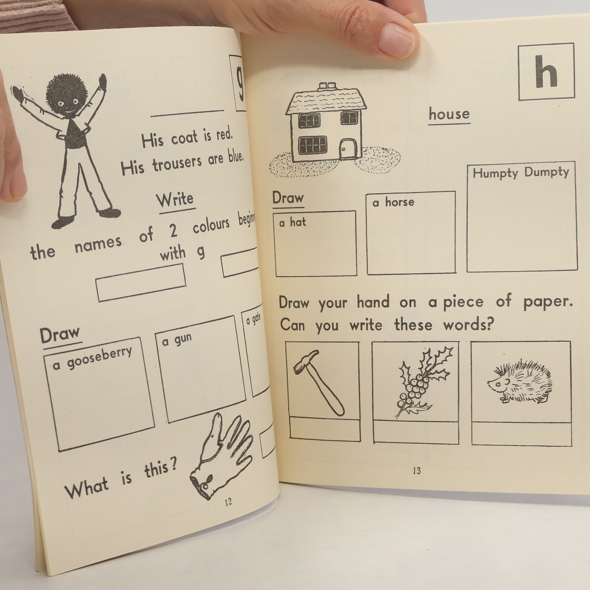 Mollie Clarke My Dictionary Work Book