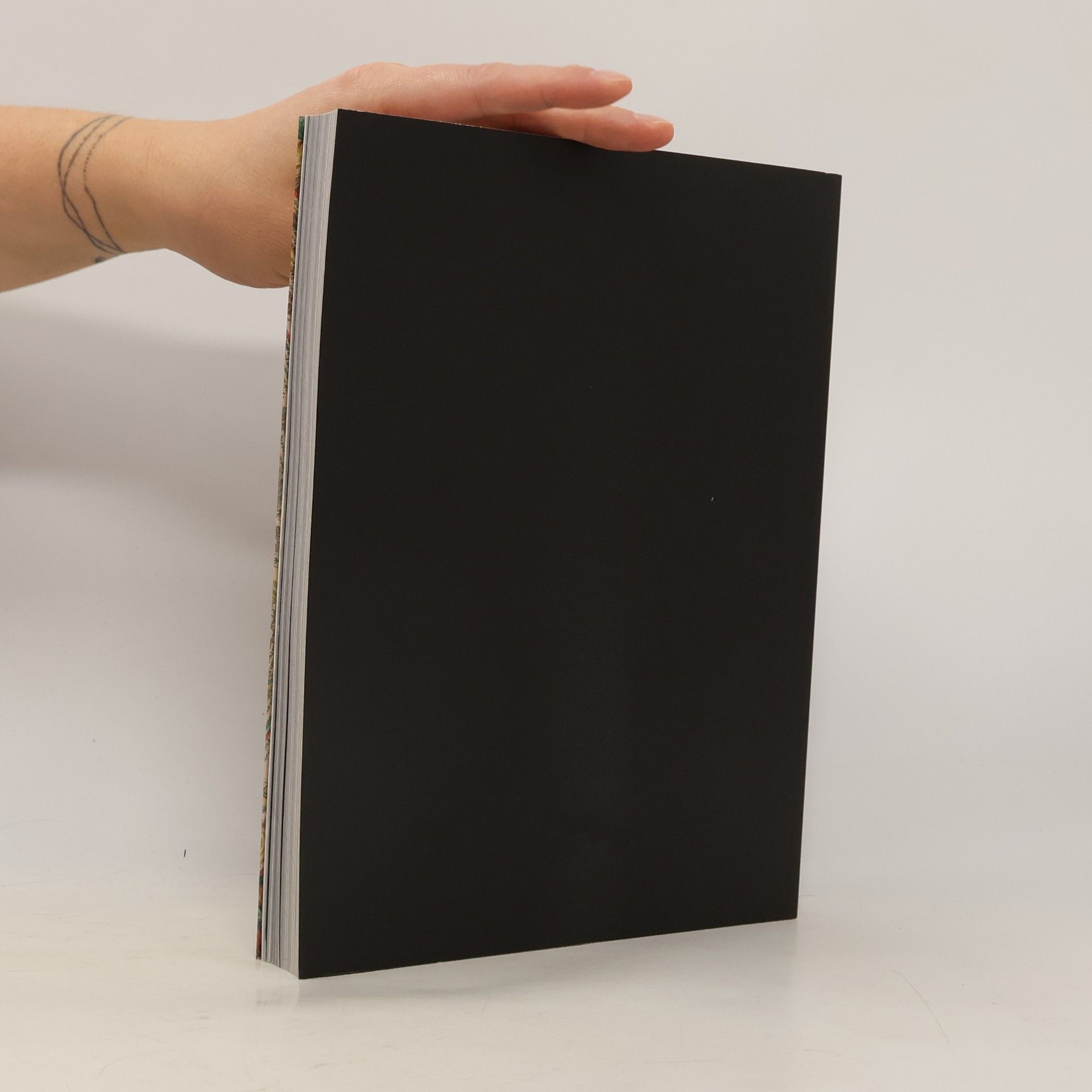CATALOGUE XV.