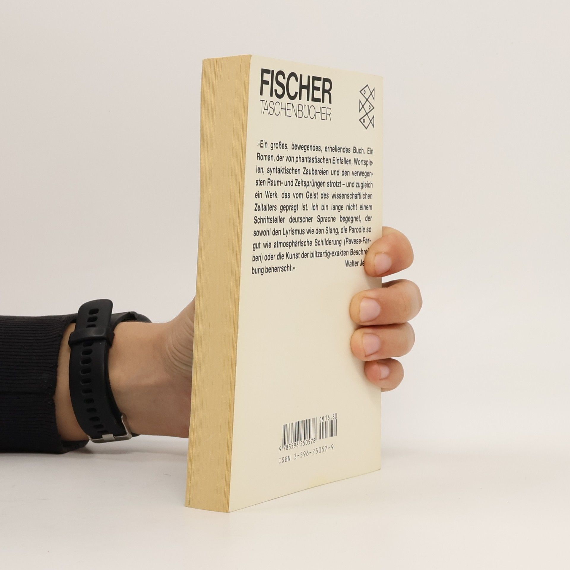 Hubert Fichte Die Palette